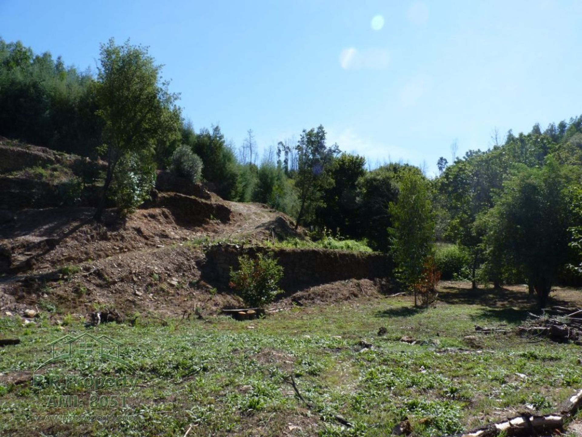 σπίτι σε Pedrogao Pequeno, Leiria 10028961