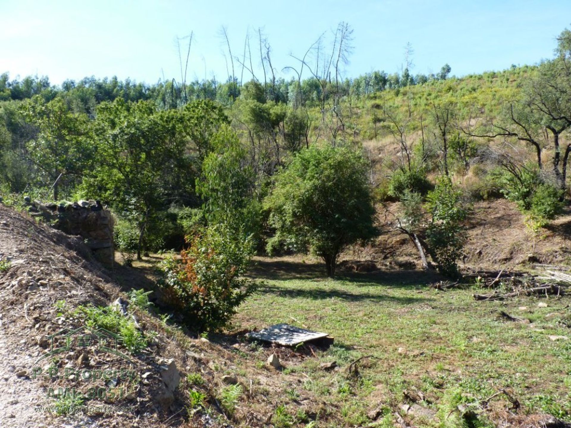 σπίτι σε Pedrogao Pequeno, Leiria 10028961