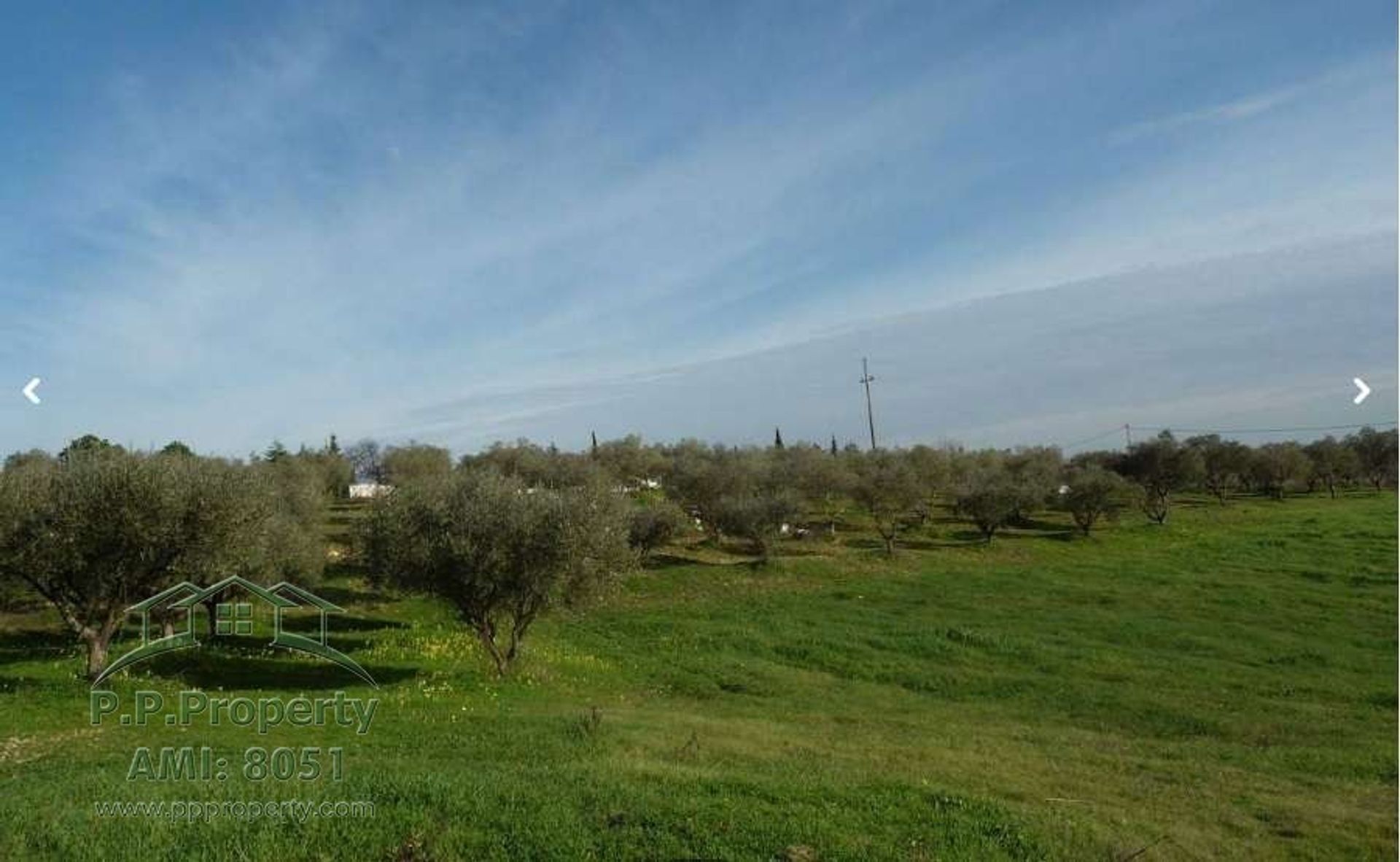 жилой дом в Santarem, Santarem 10028985