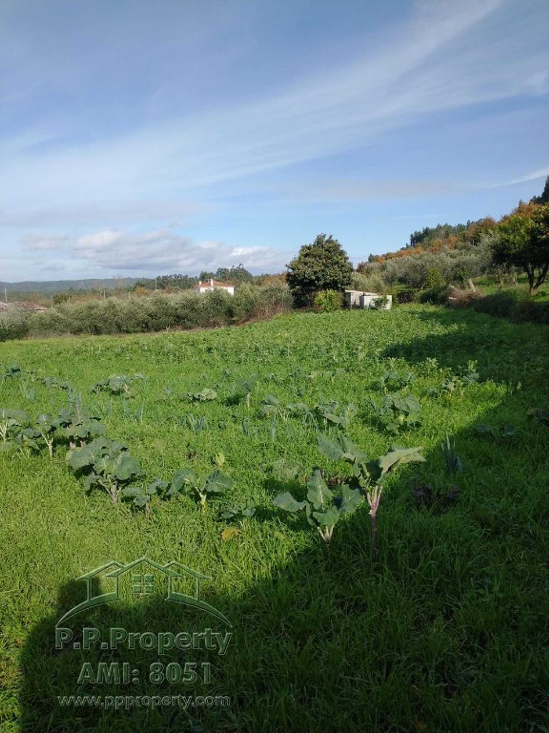 casa en Miranda do Corvo, Coimbra 10028989