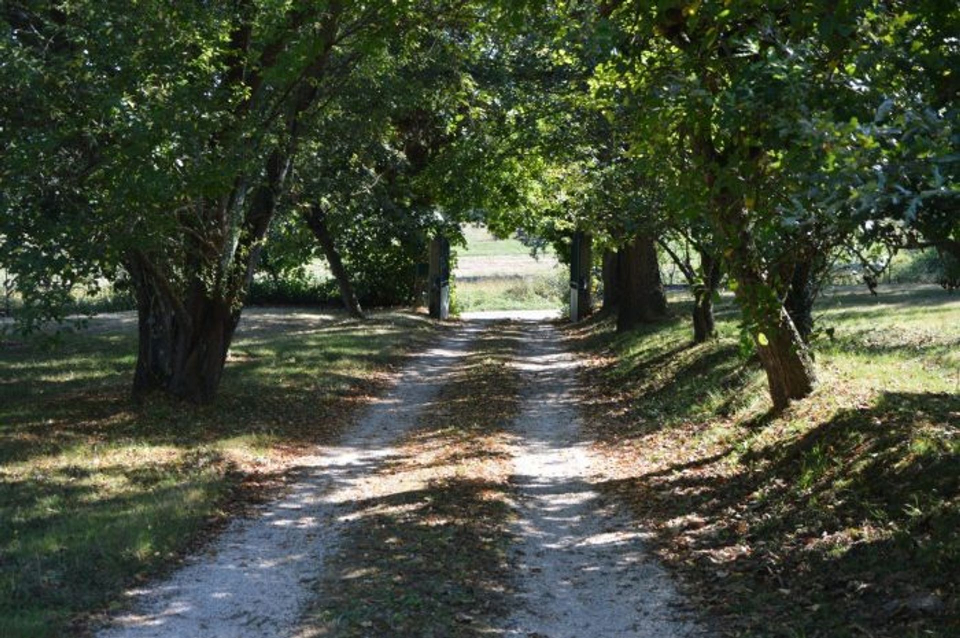 σπίτι σε Masseube, Midi-Pyrenees 10029000