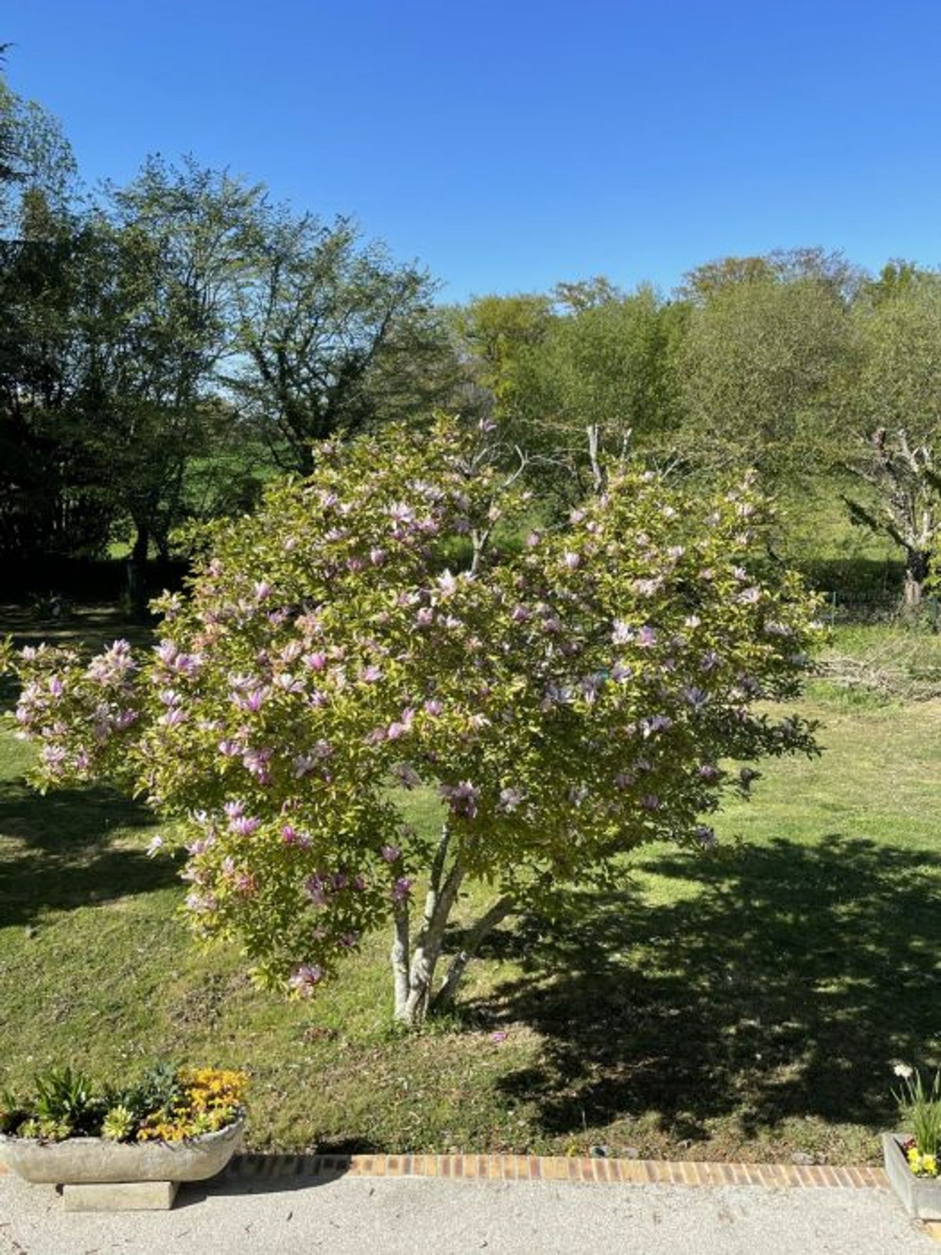 Hus i Mirande, Midi-Pyrenees 10029003