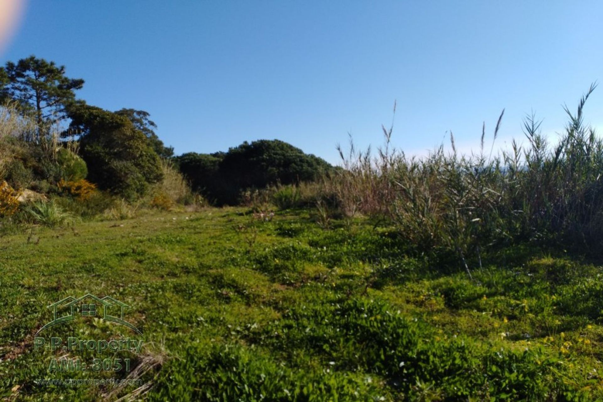 Tanah di Caldas da Rainha, Leiria 10029004