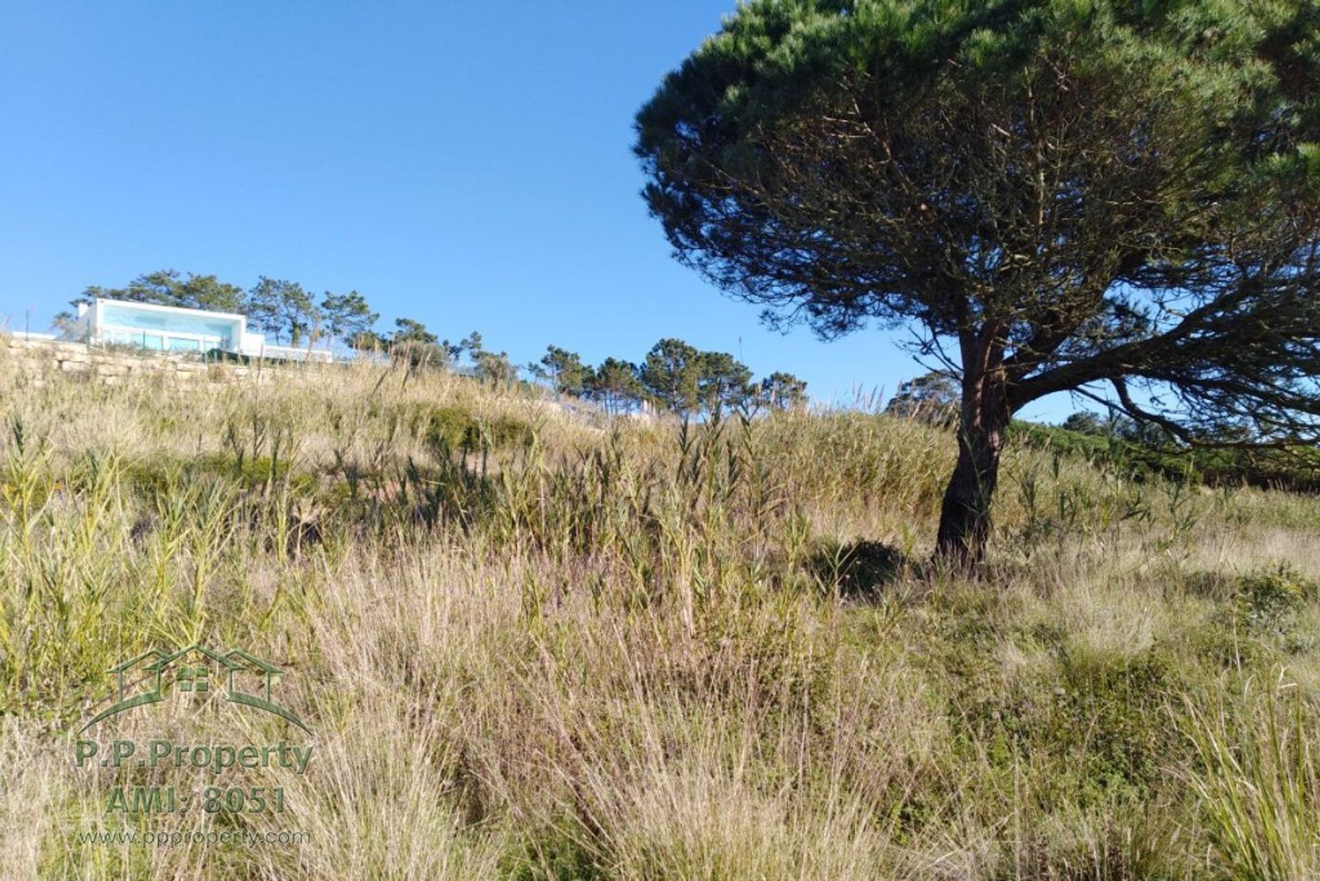 Tanah di Caldas da Rainha, Leiria 10029004