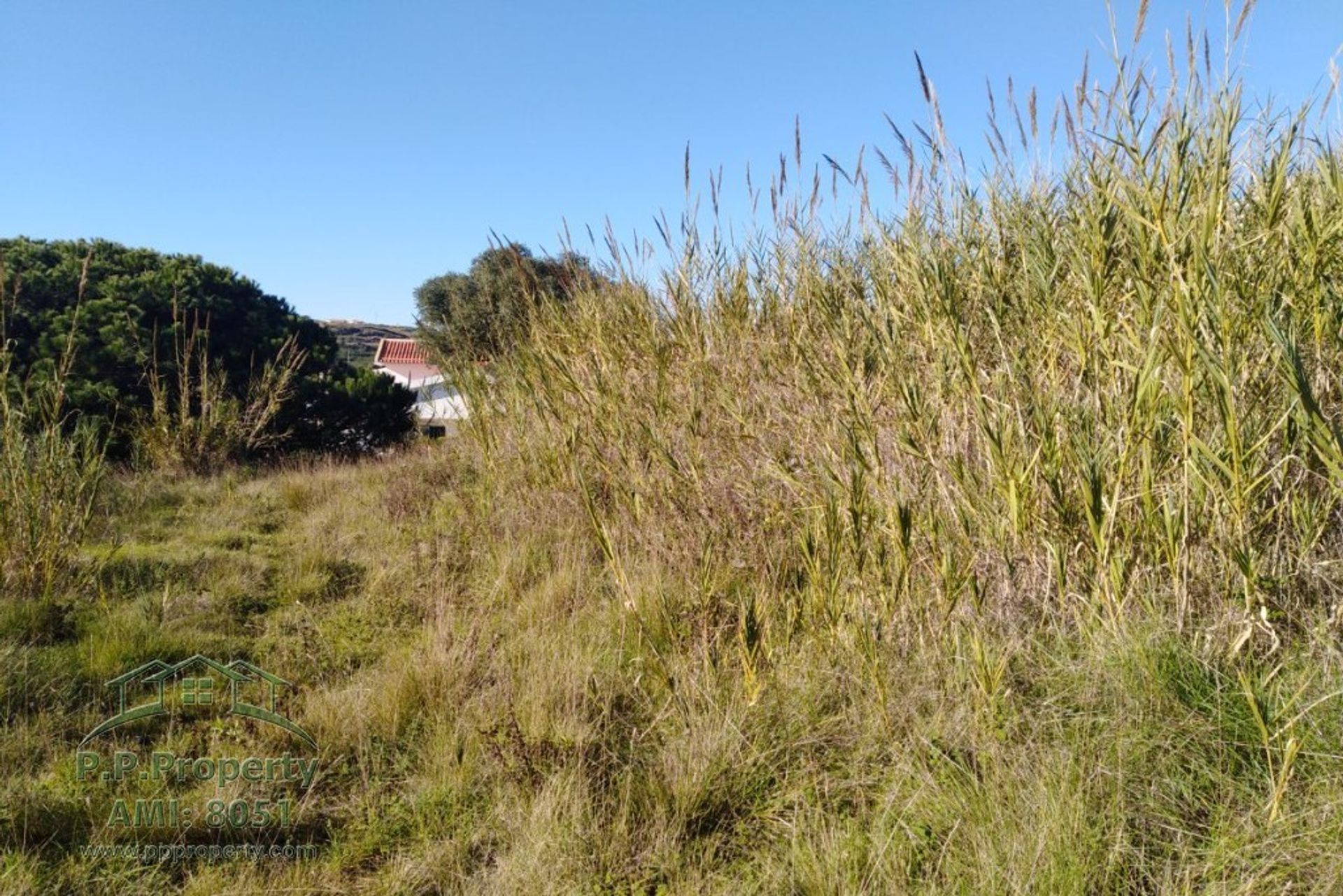 Wylądować w Caldas da Rainha, Leiria 10029004