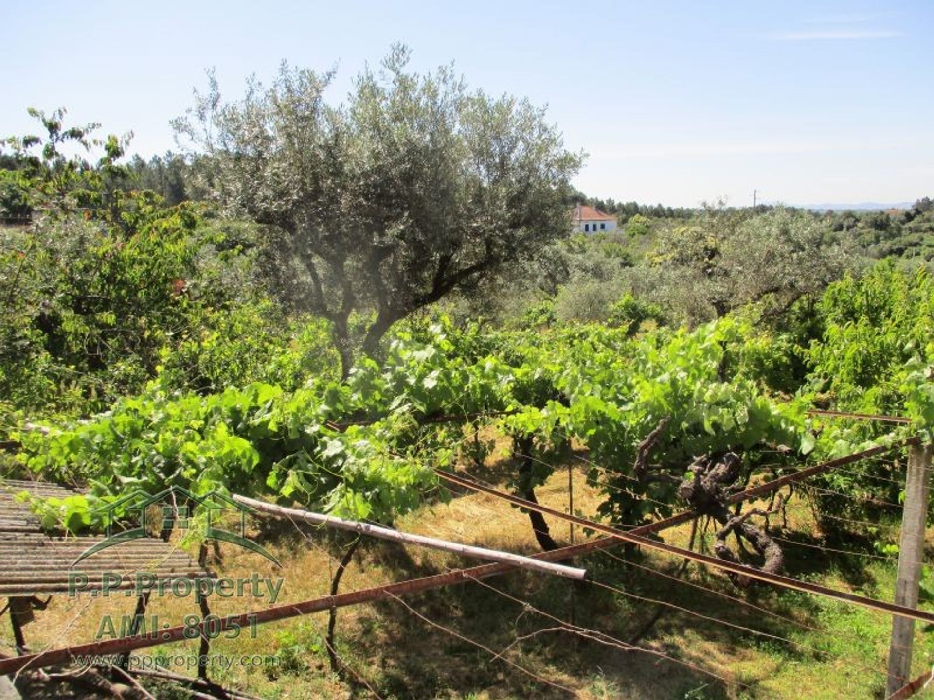 σπίτι σε Σέρτα, Καστέλο Μπράνκο 10029005