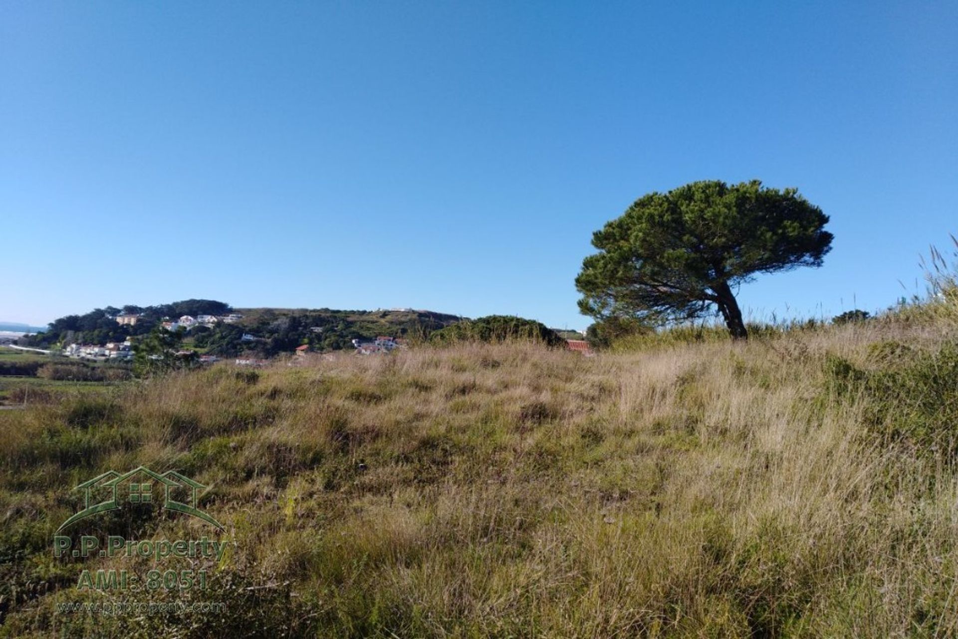 Земля в Caldas da Rainha, Leiria 10029006