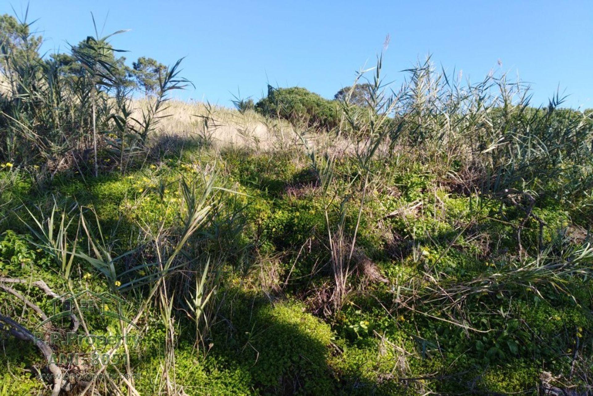 Tierra en Caldas da Rainha, Leiria 10029006