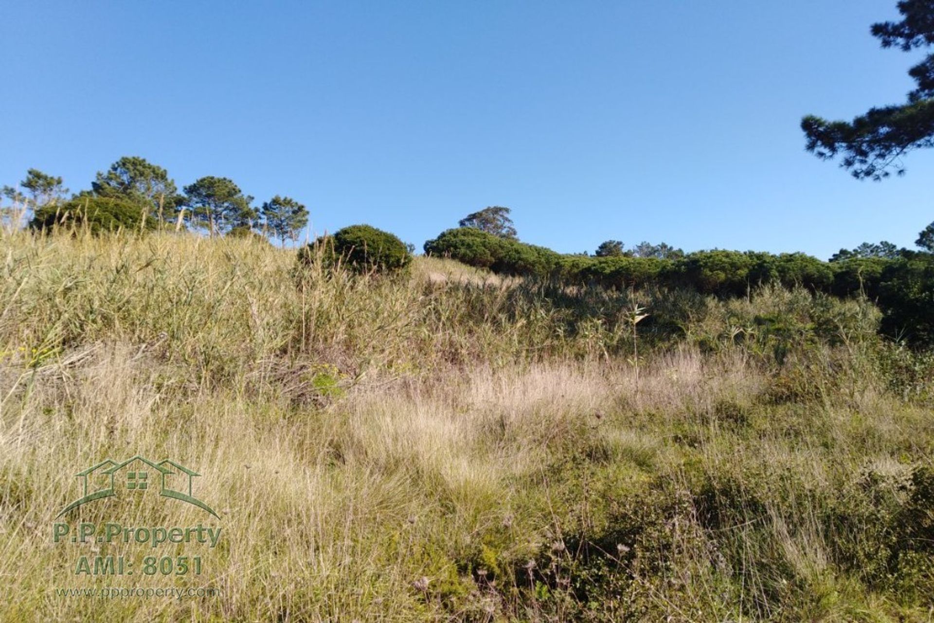 Tanah dalam Caldas da Rainha, Leiria 10029006