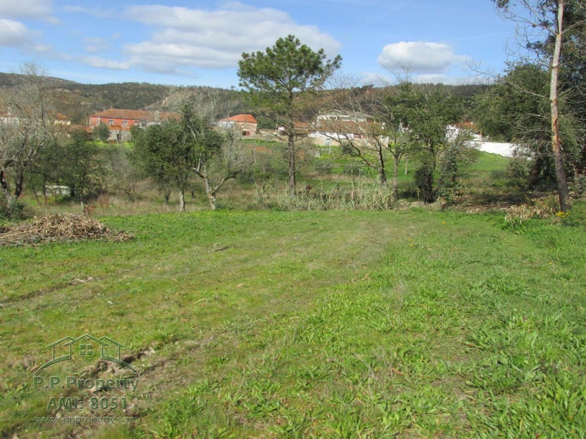 Hus i Vila Nova de Poiares, Coimbra 10029015