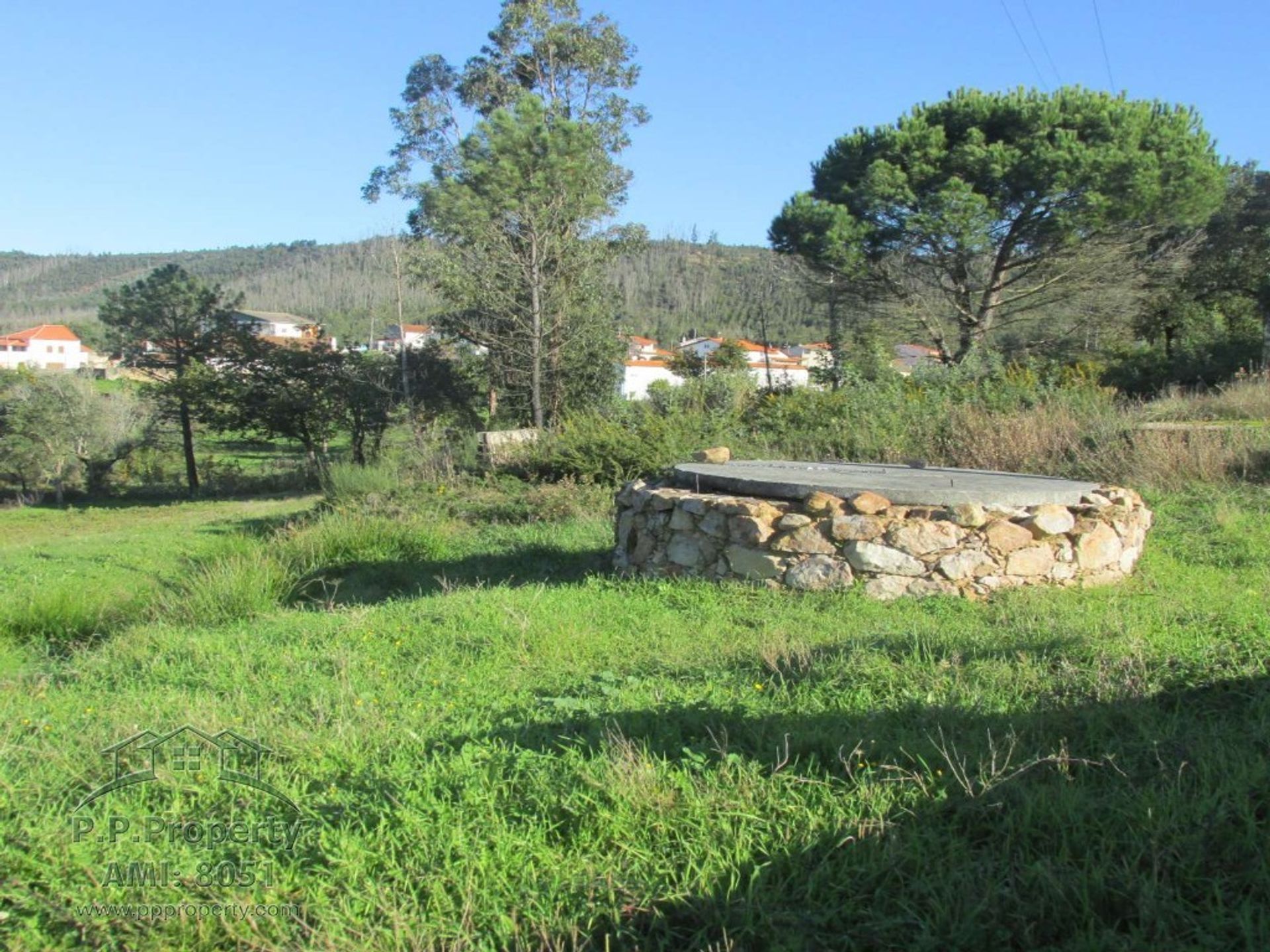 Haus im Ferreira, Coimbra 10029015