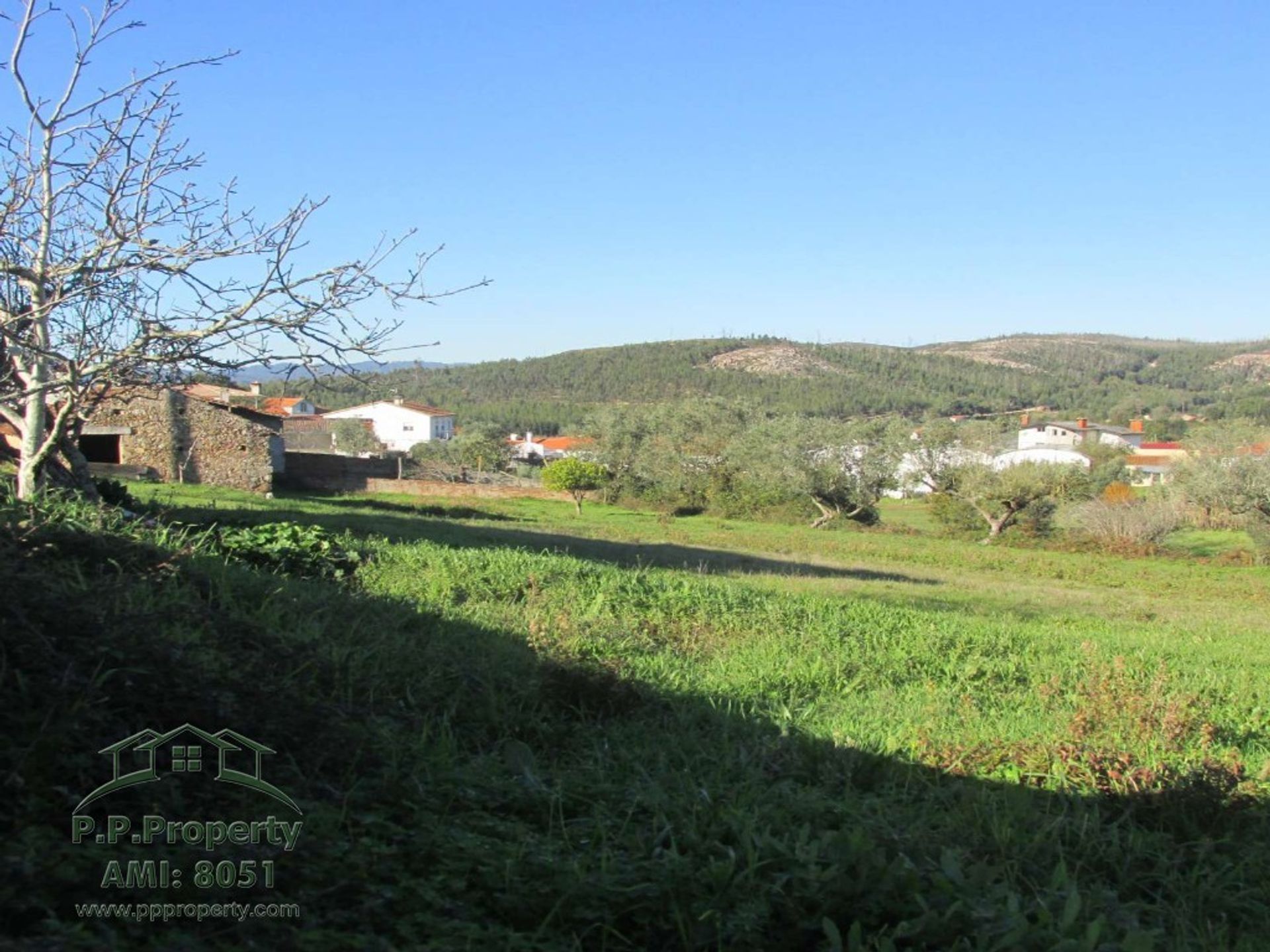 Haus im Vila Nova de Poiares, Coimbra 10029015