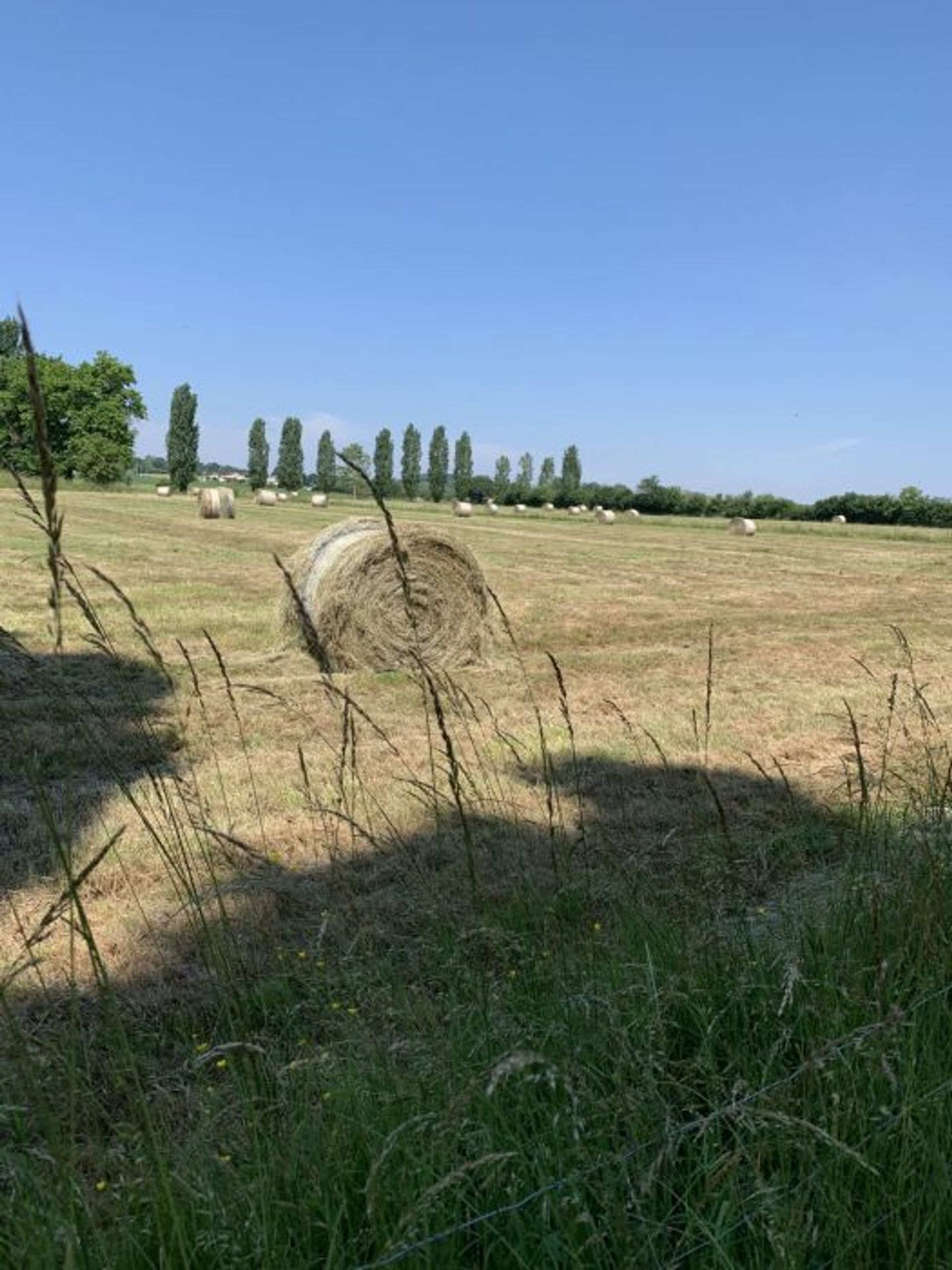 Talo sisään Mielan, Midi-Pyrenees 10029023