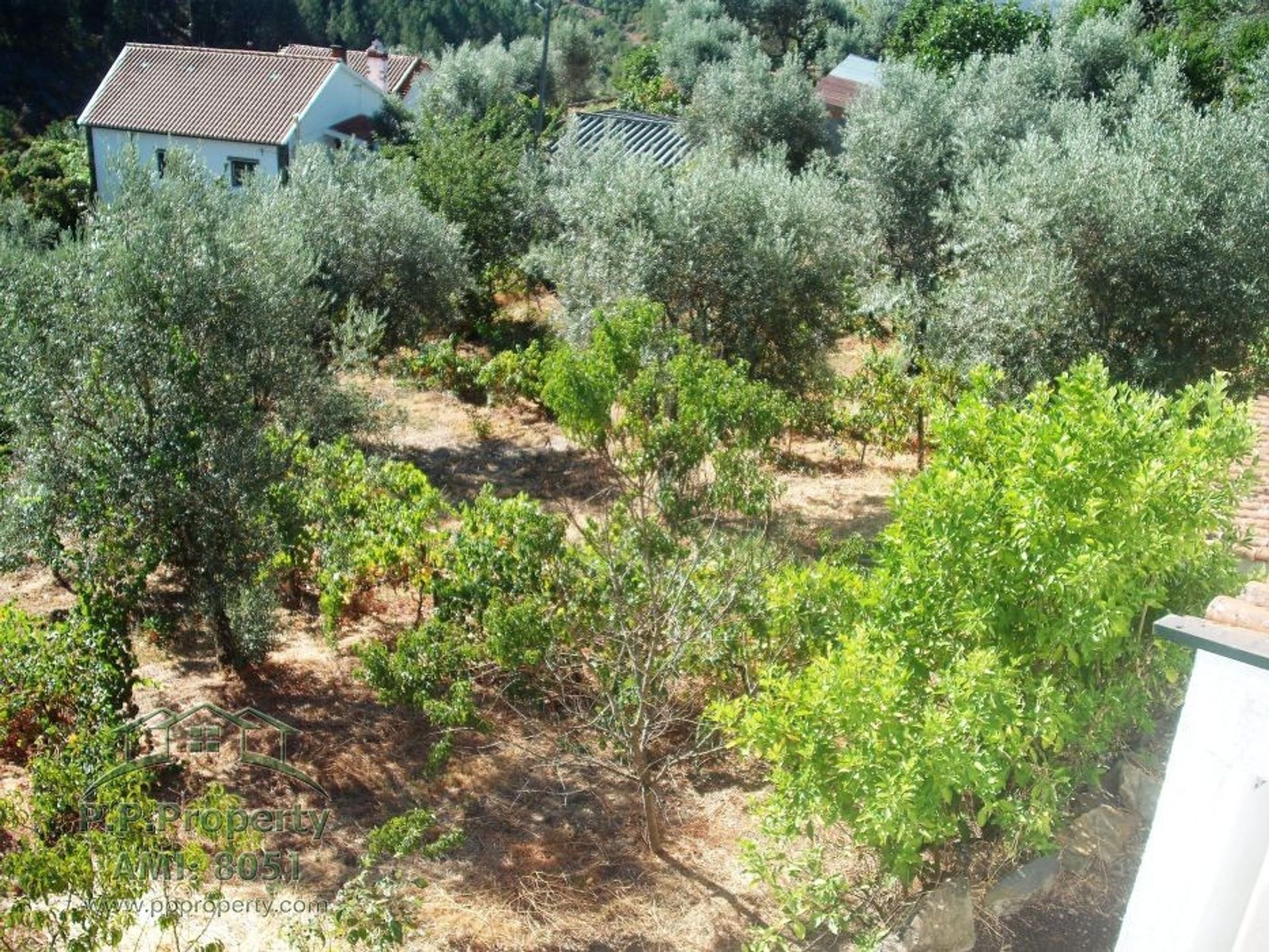 rumah dalam Lousa, Coimbra 10029034