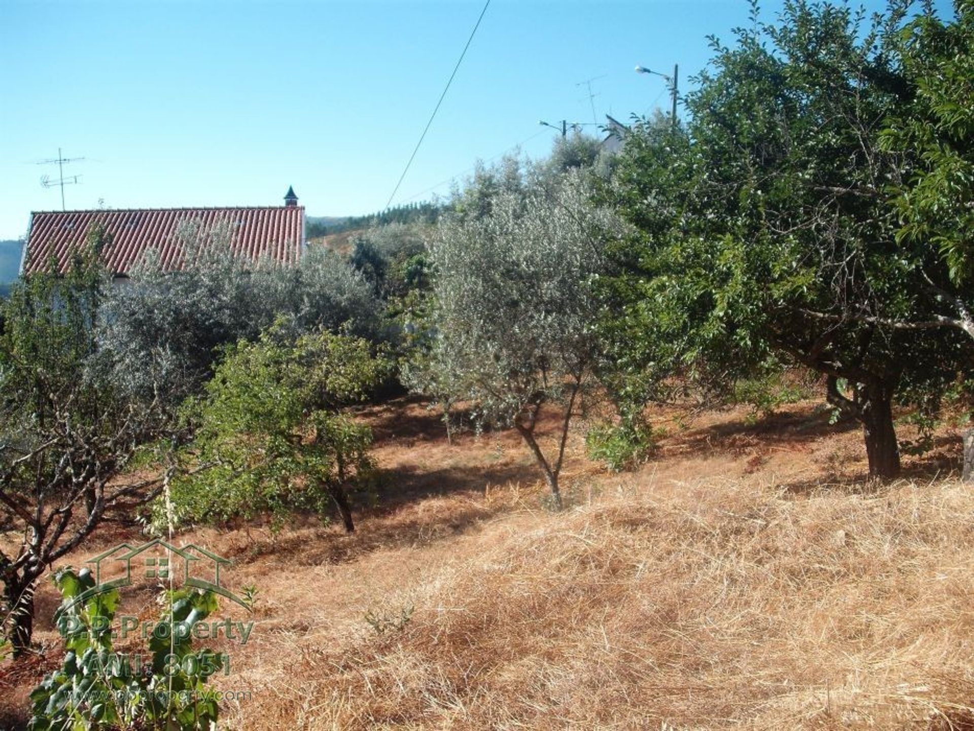 rumah dalam Lousa, Coimbra 10029034