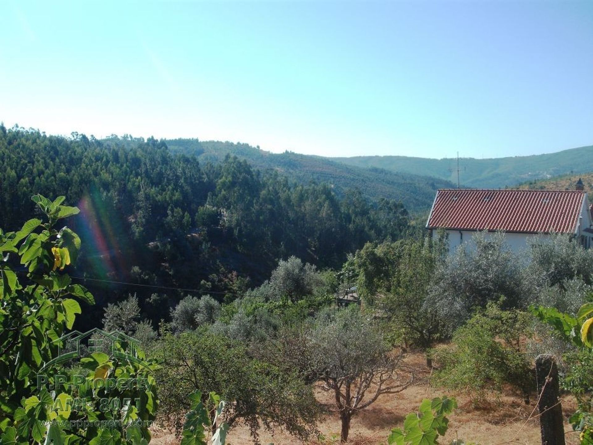 rumah dalam Lousa, Coimbra 10029034