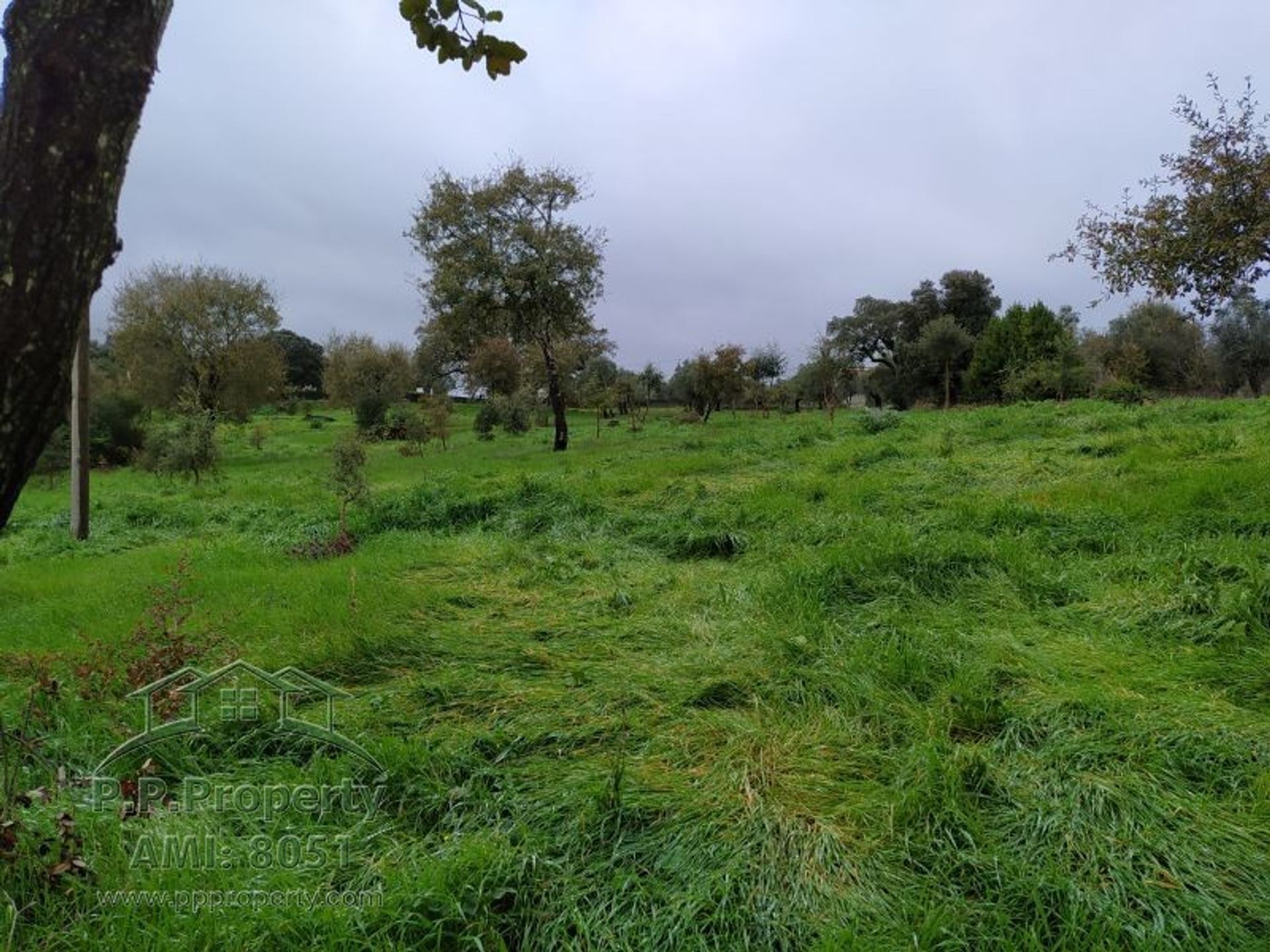 Tierra en Ferreira do Zézere, Santarém 10029038