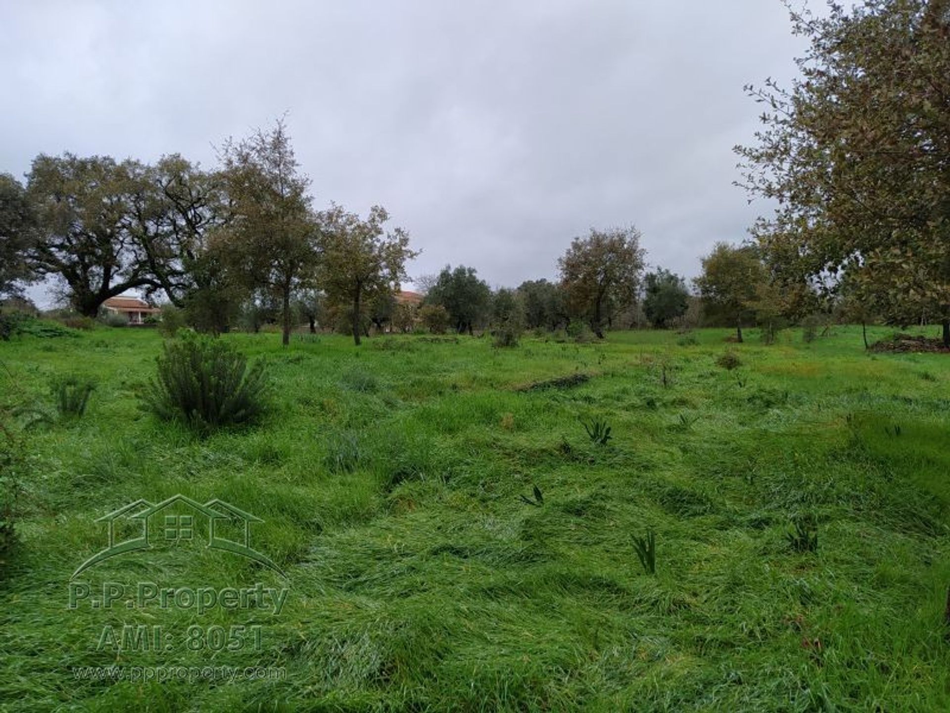 Земля в Ferreira do Zezere, Santarem 10029038