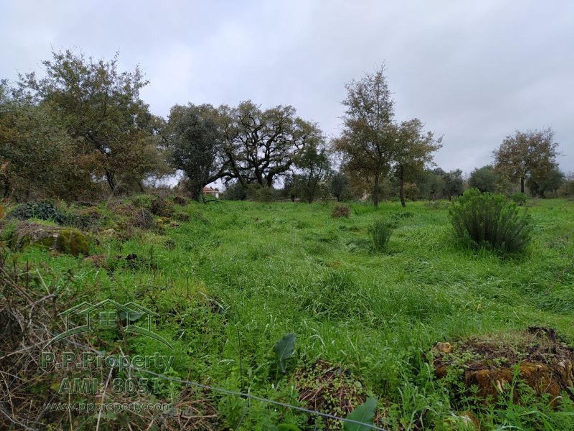 Tierra en Ferreira do Zézere, Santarém 10029038