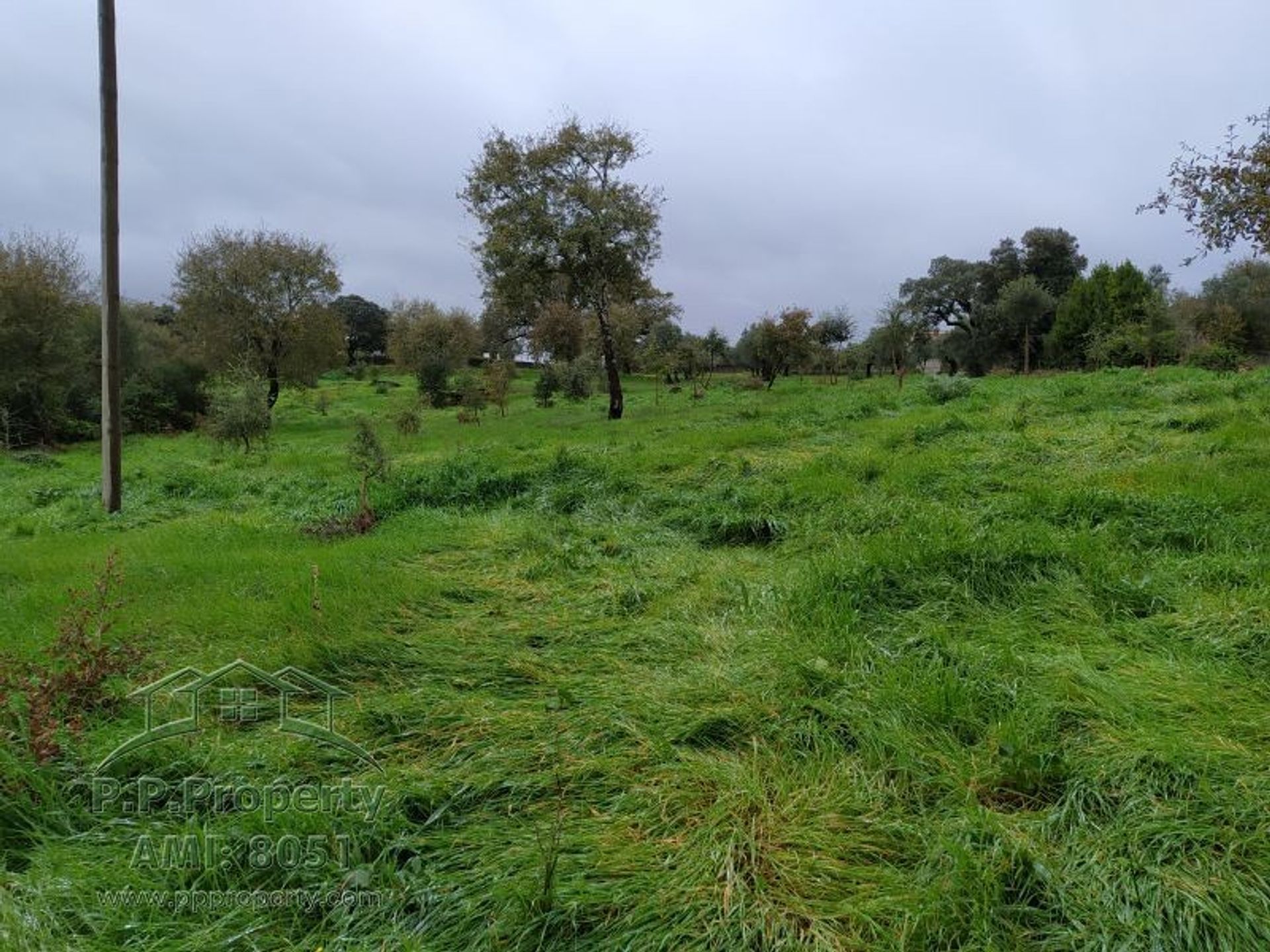 Tierra en Ferreira do Zézere, Santarém 10029038