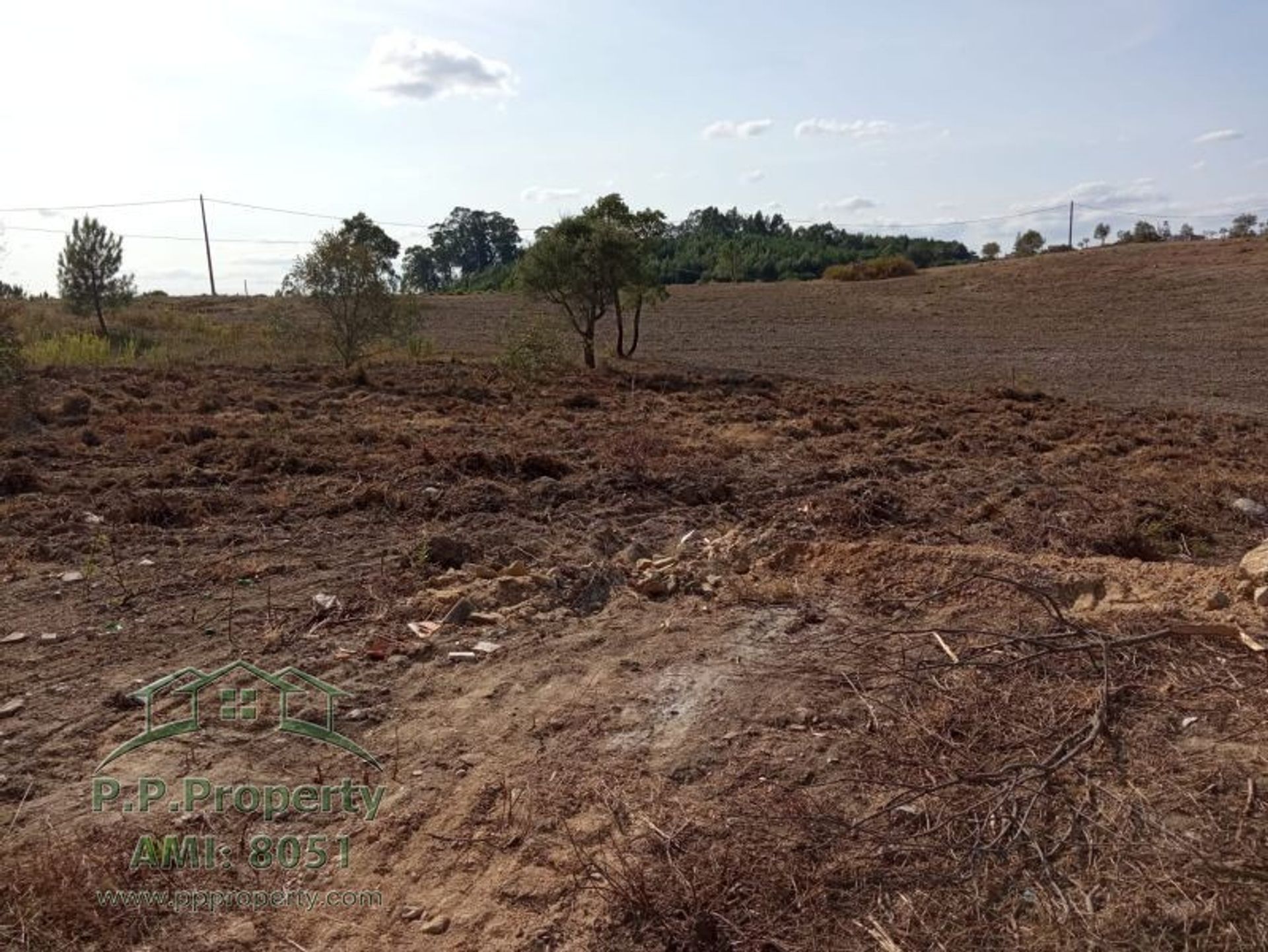 Land in Palhava, Santarem 10029042