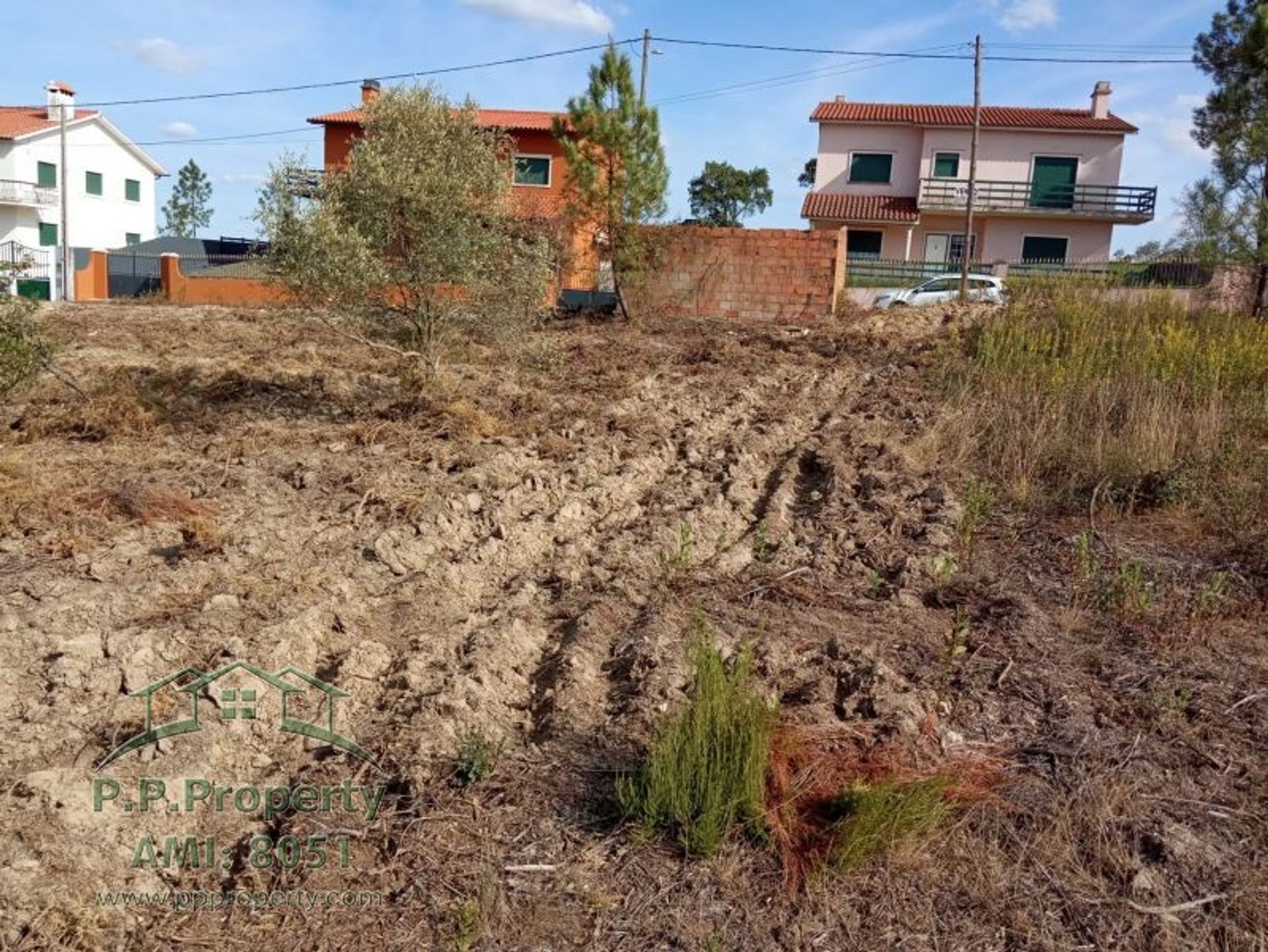 Terre dans Palhava, Santarém 10029042