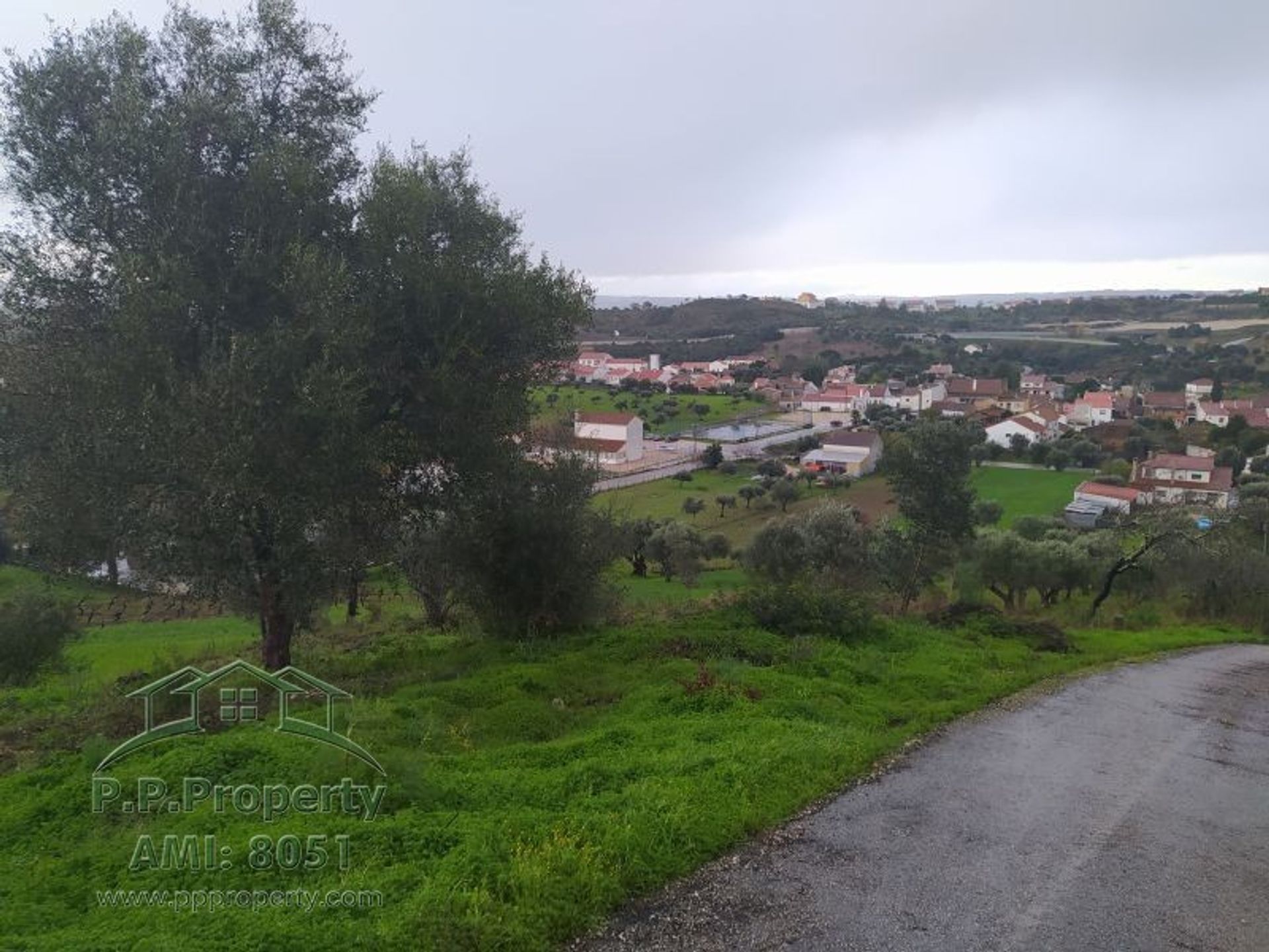 Land in Palhava, Santarem 10029043