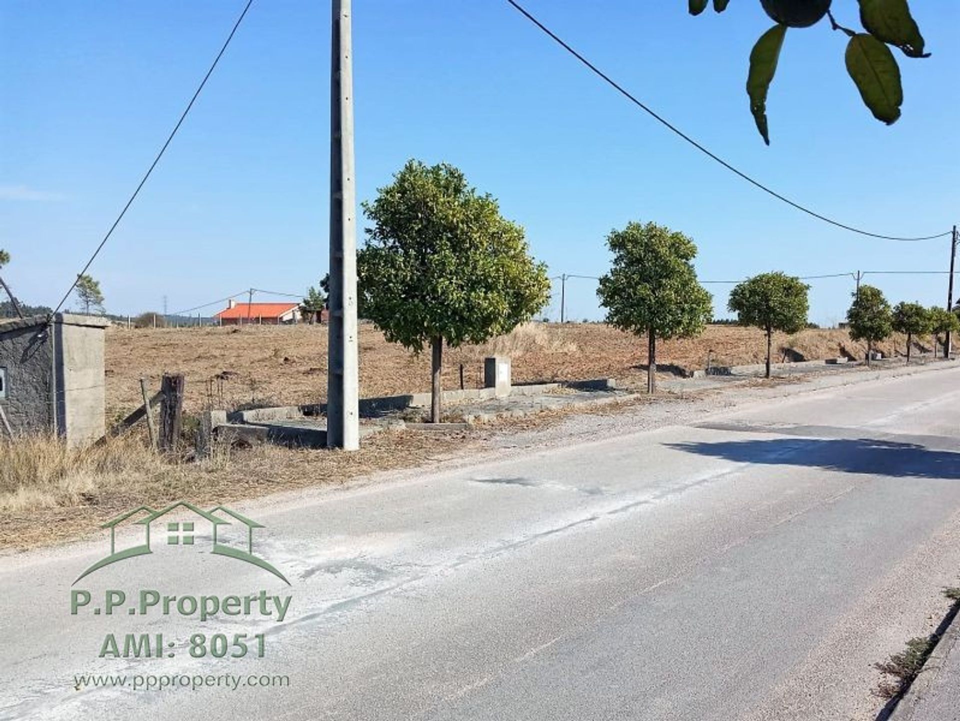 Land in Tomar, Santarem 10029045