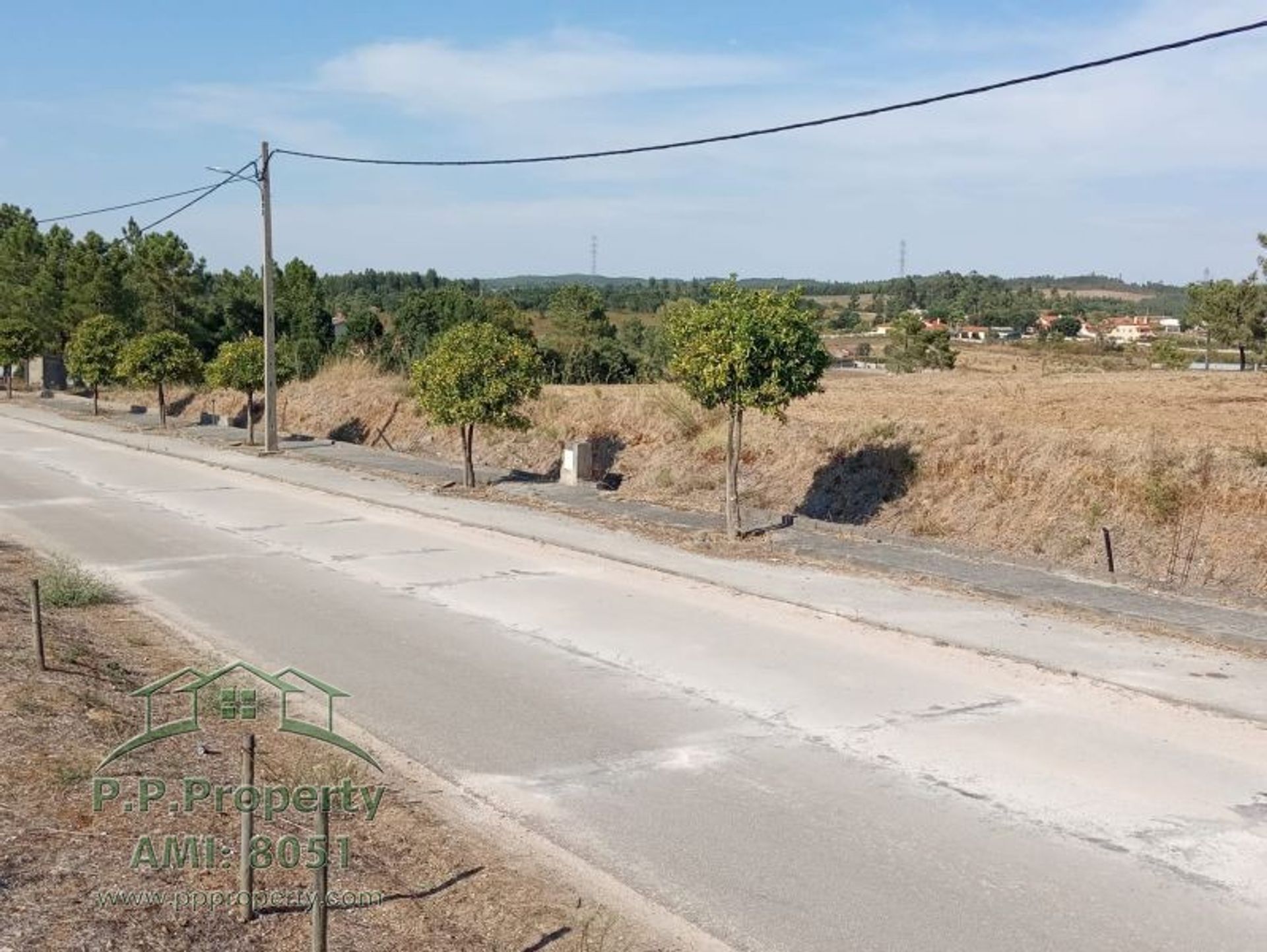 Land in Tomar, Santarem 10029045