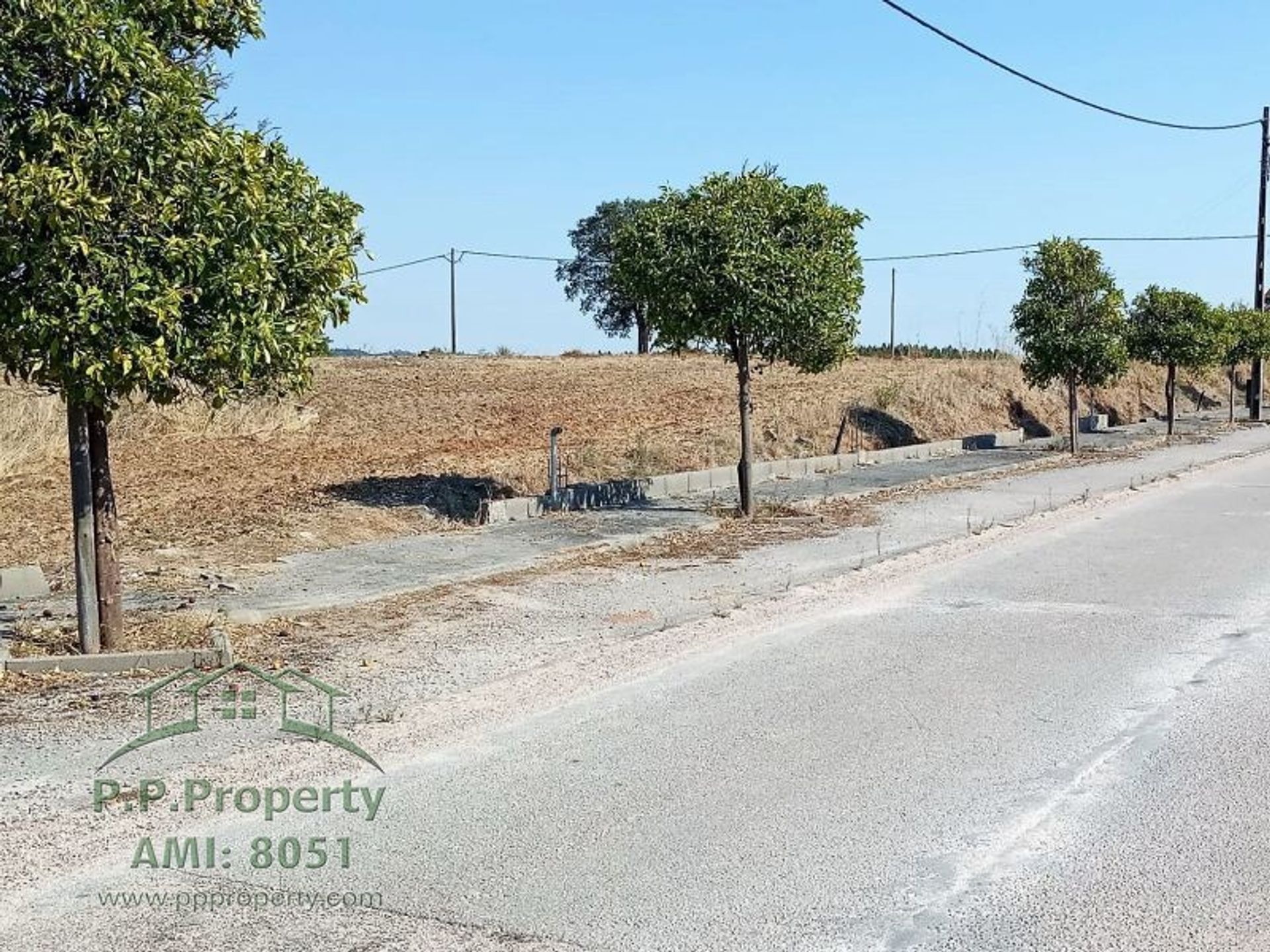 Land in Tomar, Santarem 10029045