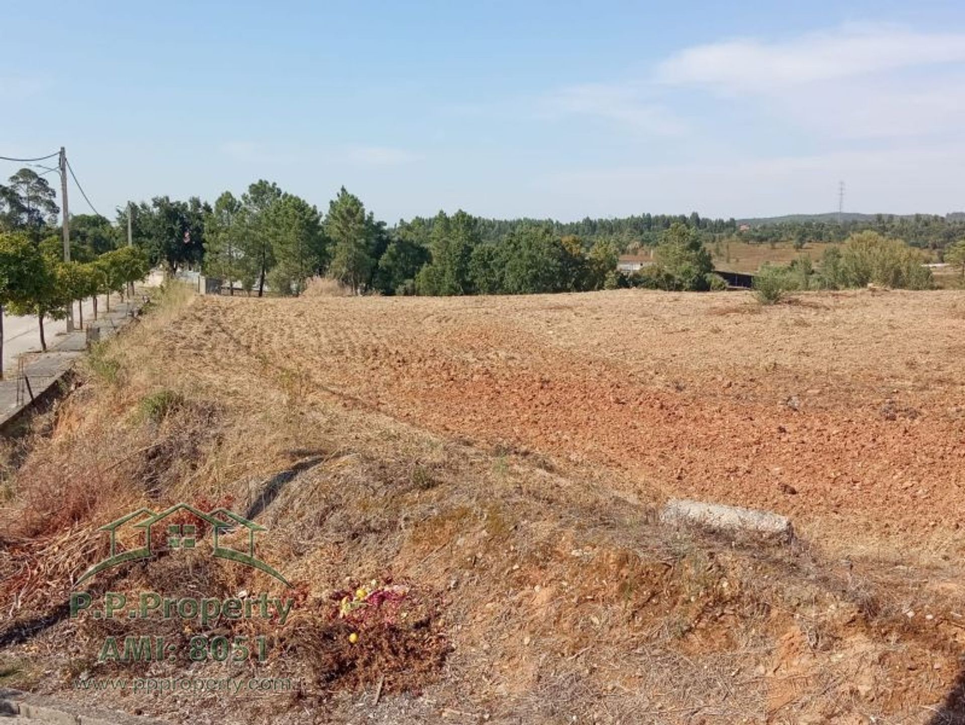 Land in Tomar, Santarem 10029045