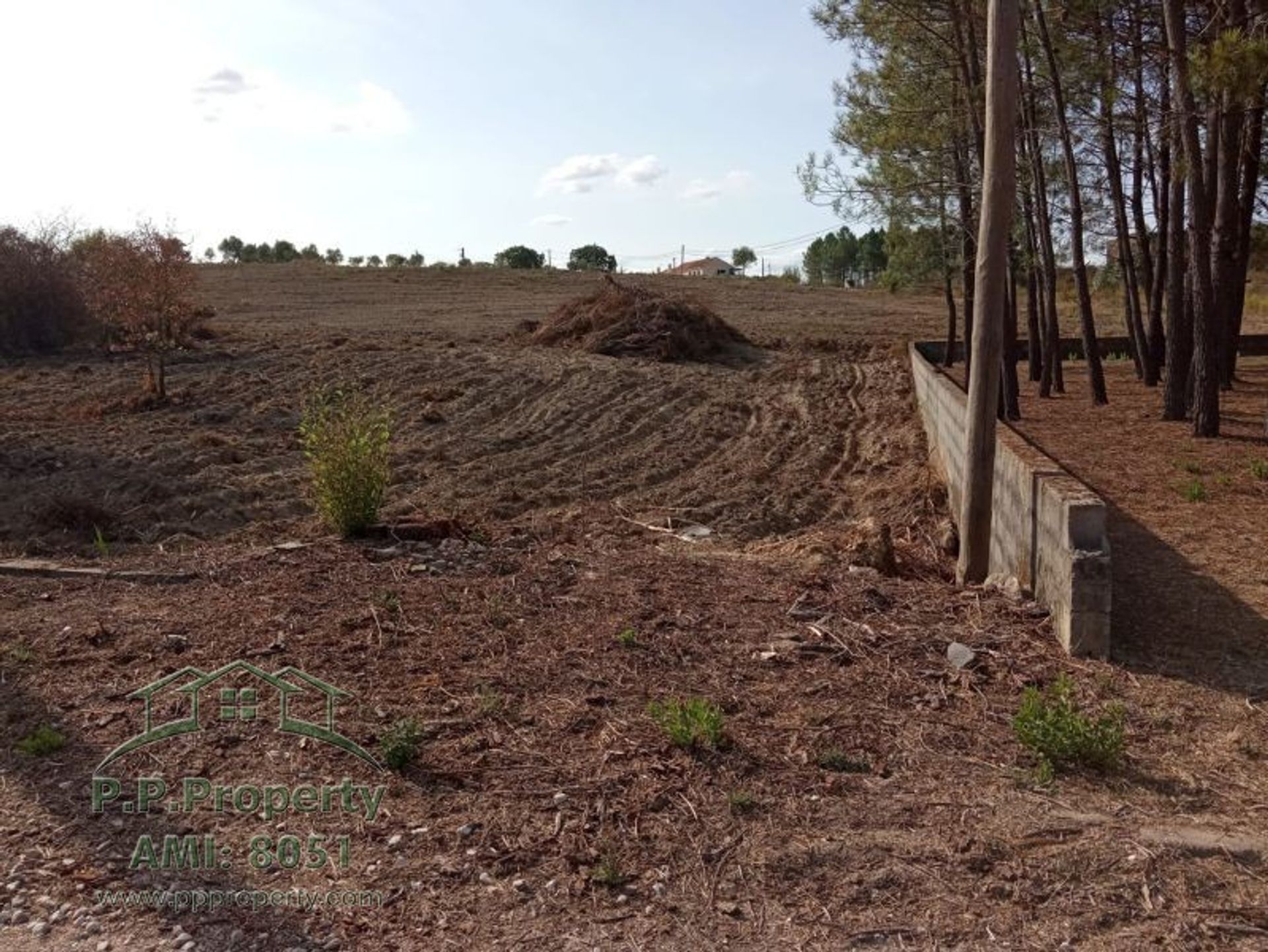 Земельные участки в Tomar, Santarem 10029047