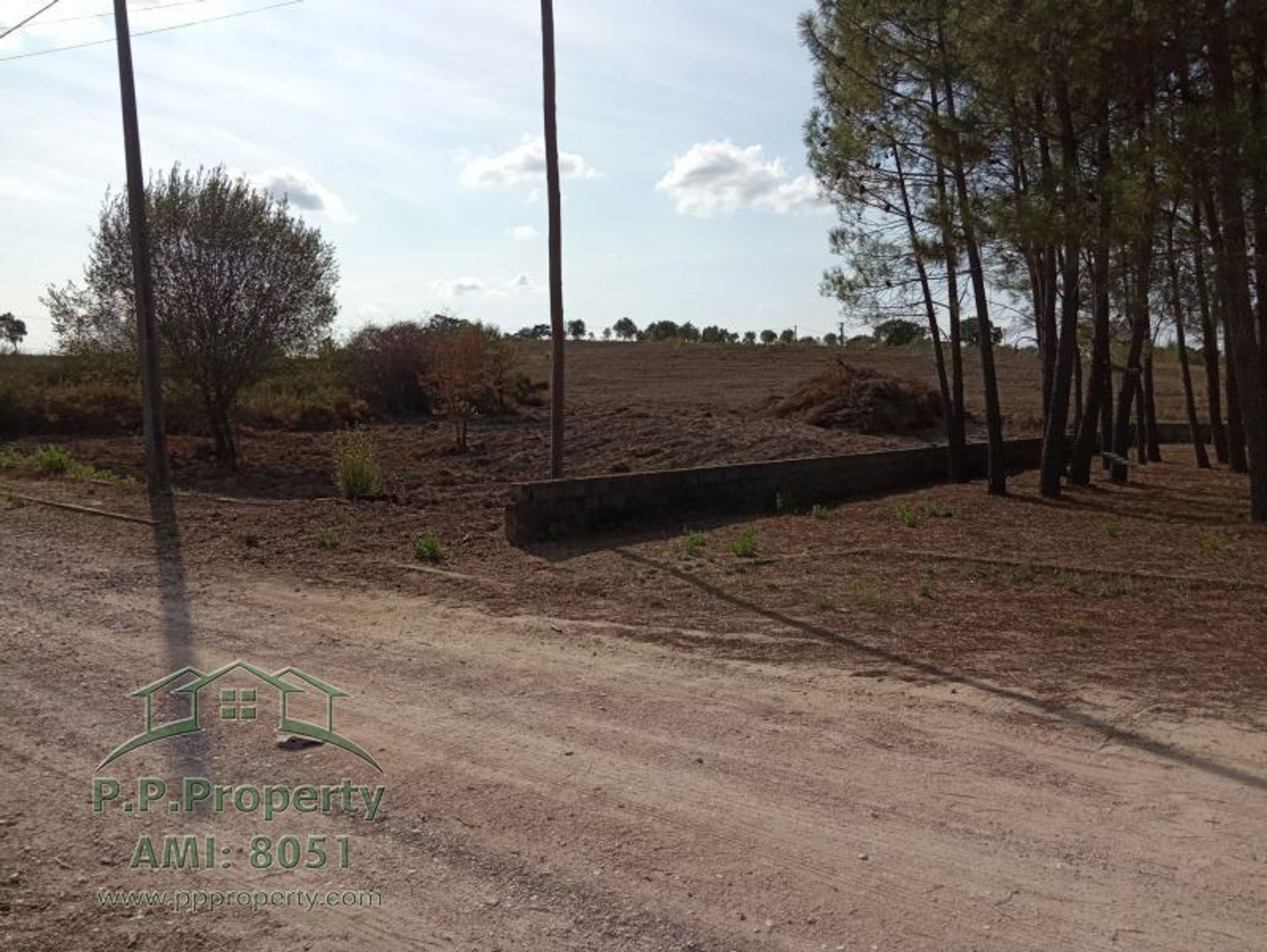 Land in Palhava, Santarem 10029047