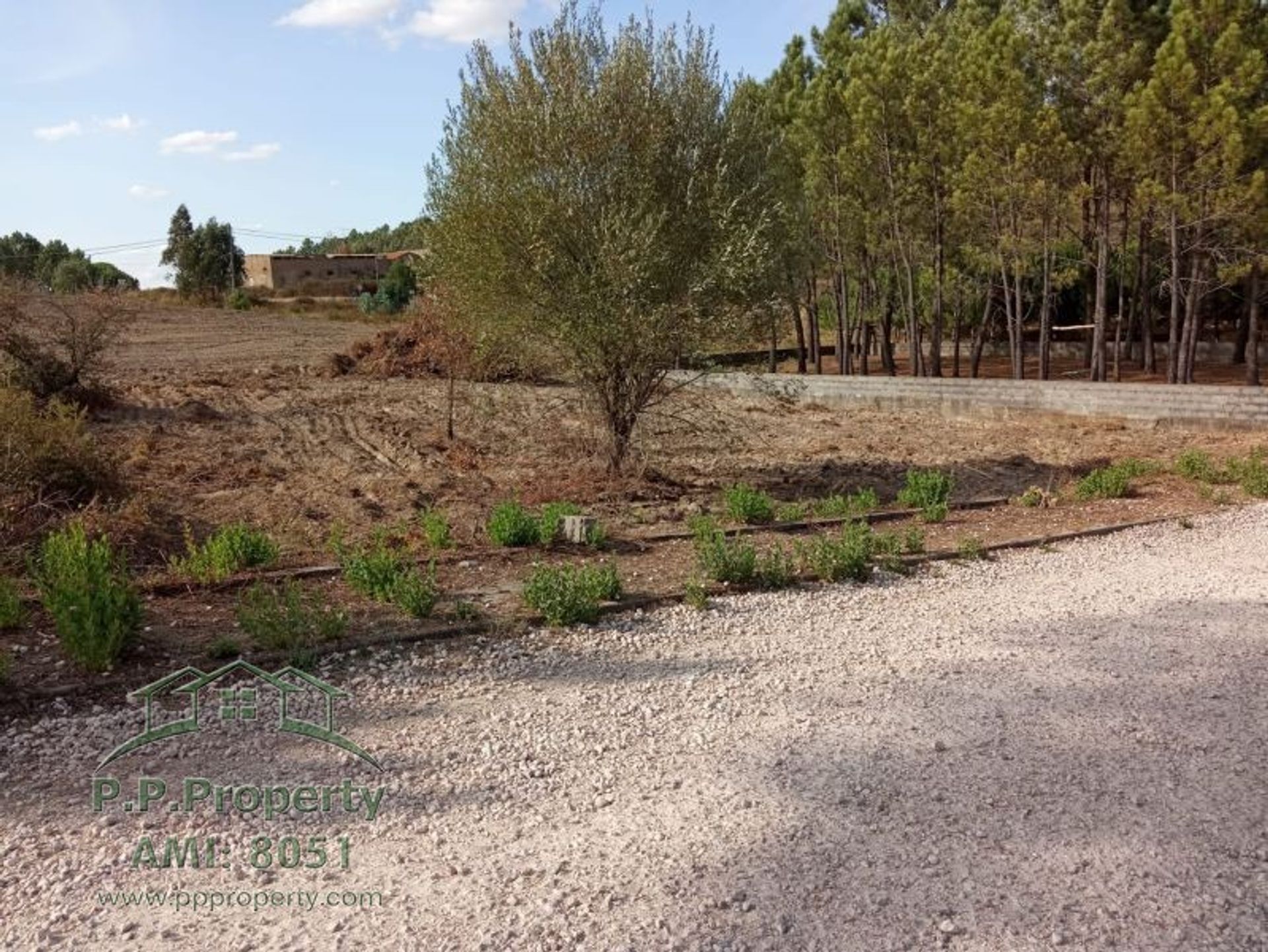 Land in Palhava, Santarem 10029047