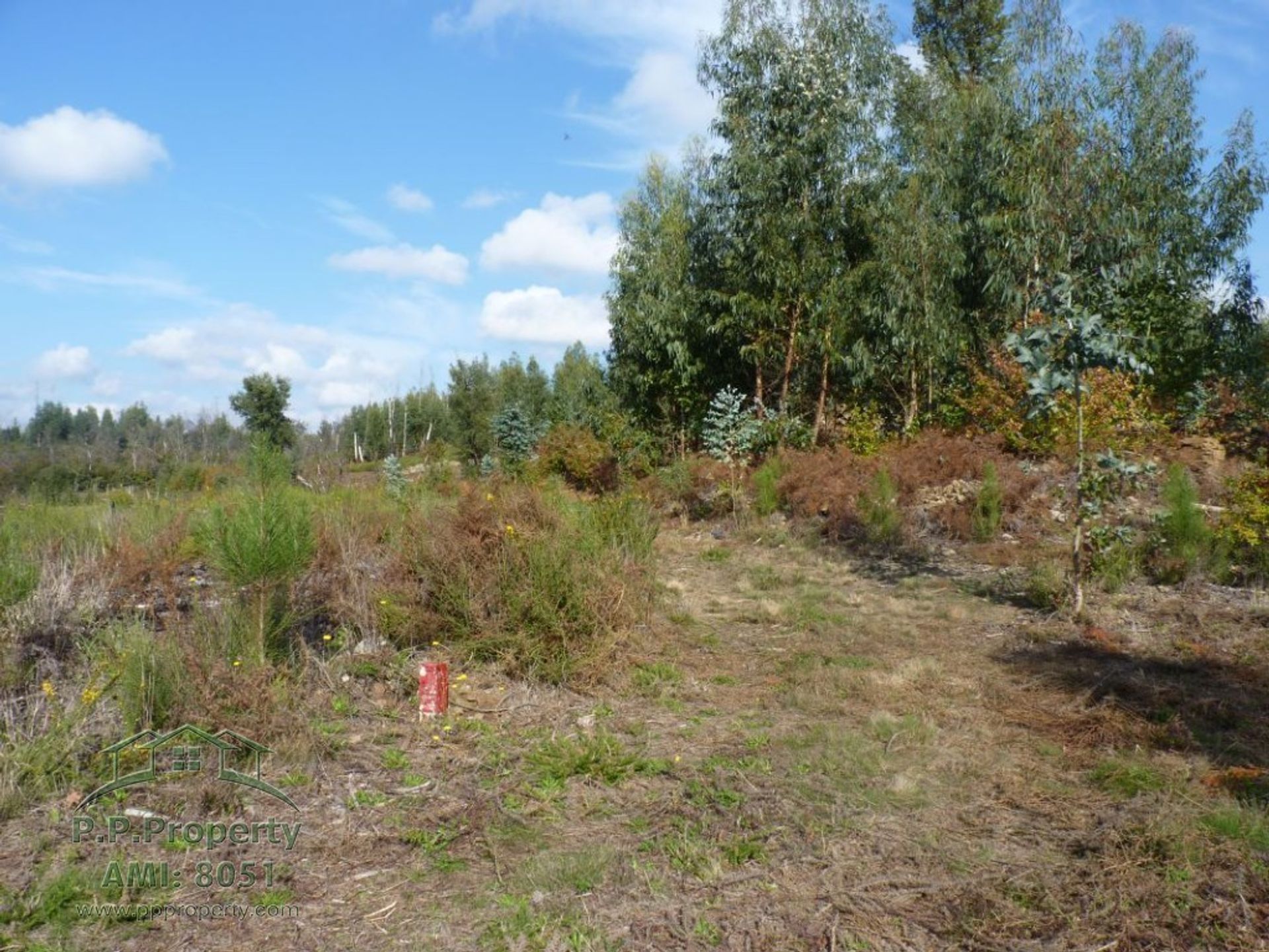 Land in Pedrogao Grande, Leiria 10029053