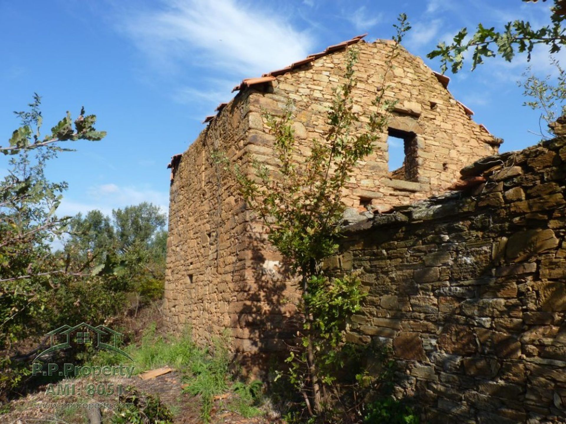 Terra no Pedrogao Grande, Leiria 10029053