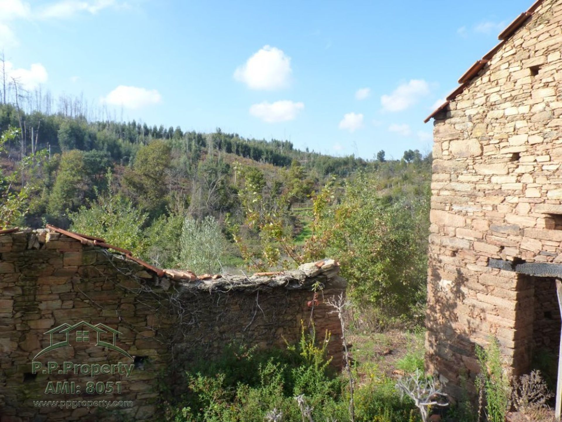 Terra no Pedrógão Grande, Leiria 10029053