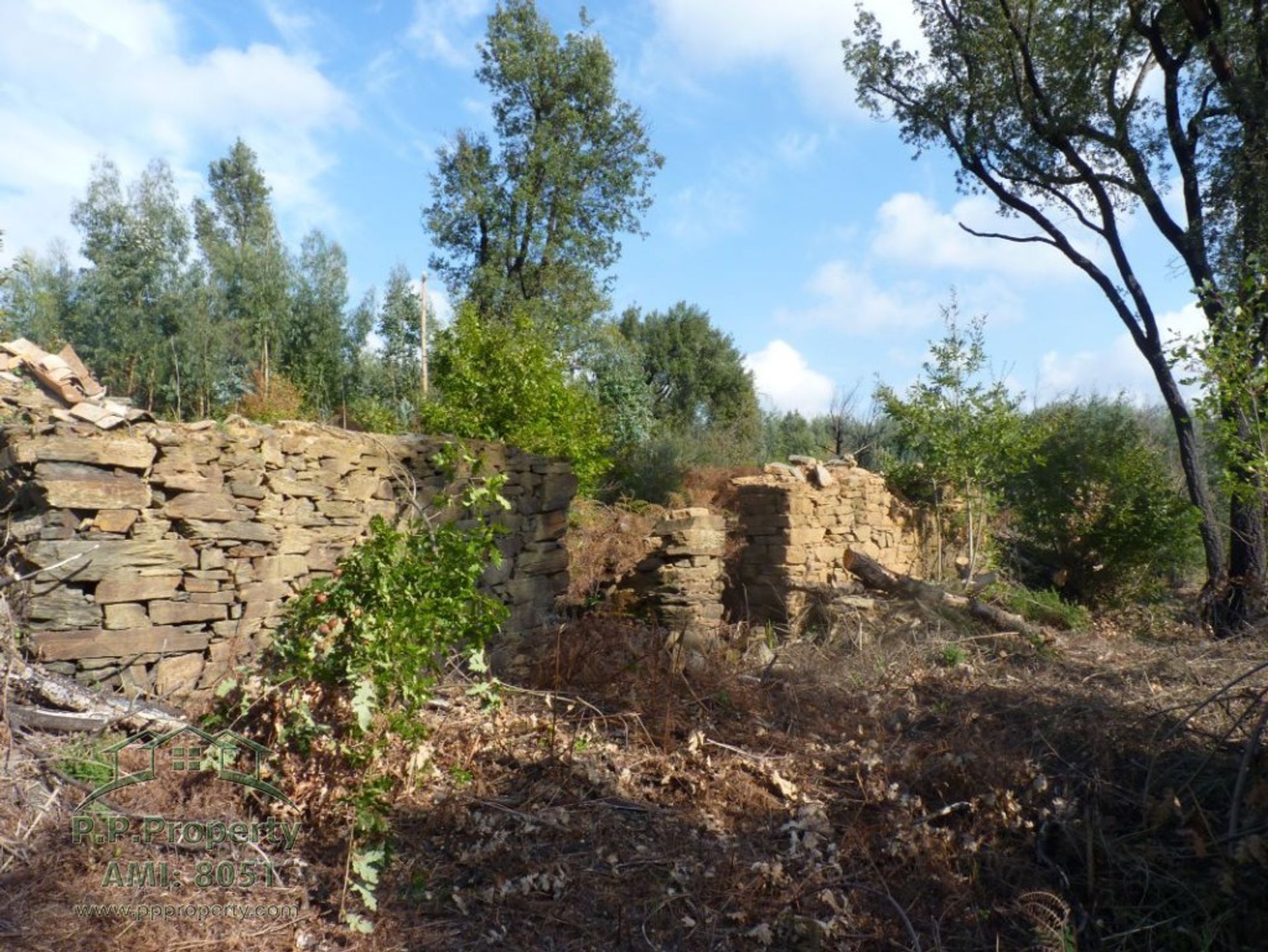 Land in Pedrogao Grande, Leiria 10029053