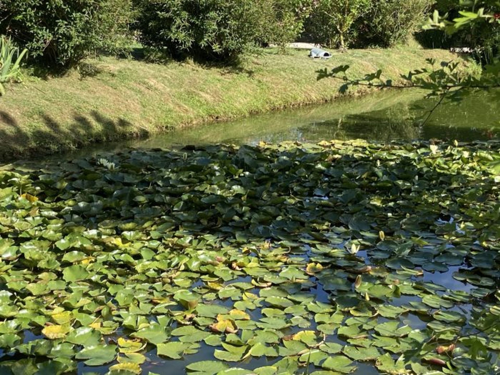 房子 在 Masseube, Midi-Pyrenees 10029062