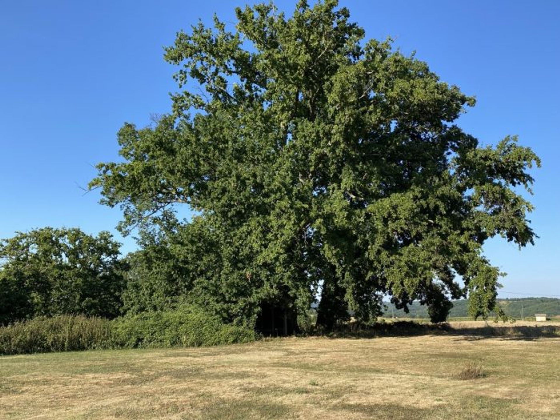 rumah dalam Masseube, Midi-Pyrenees 10029066