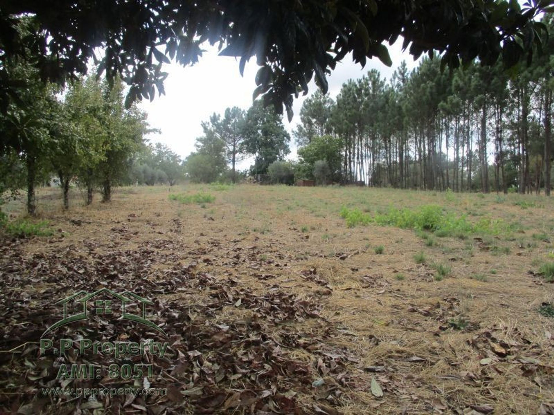 Casa nel Ferreira do Zezère, Santarém 10029068