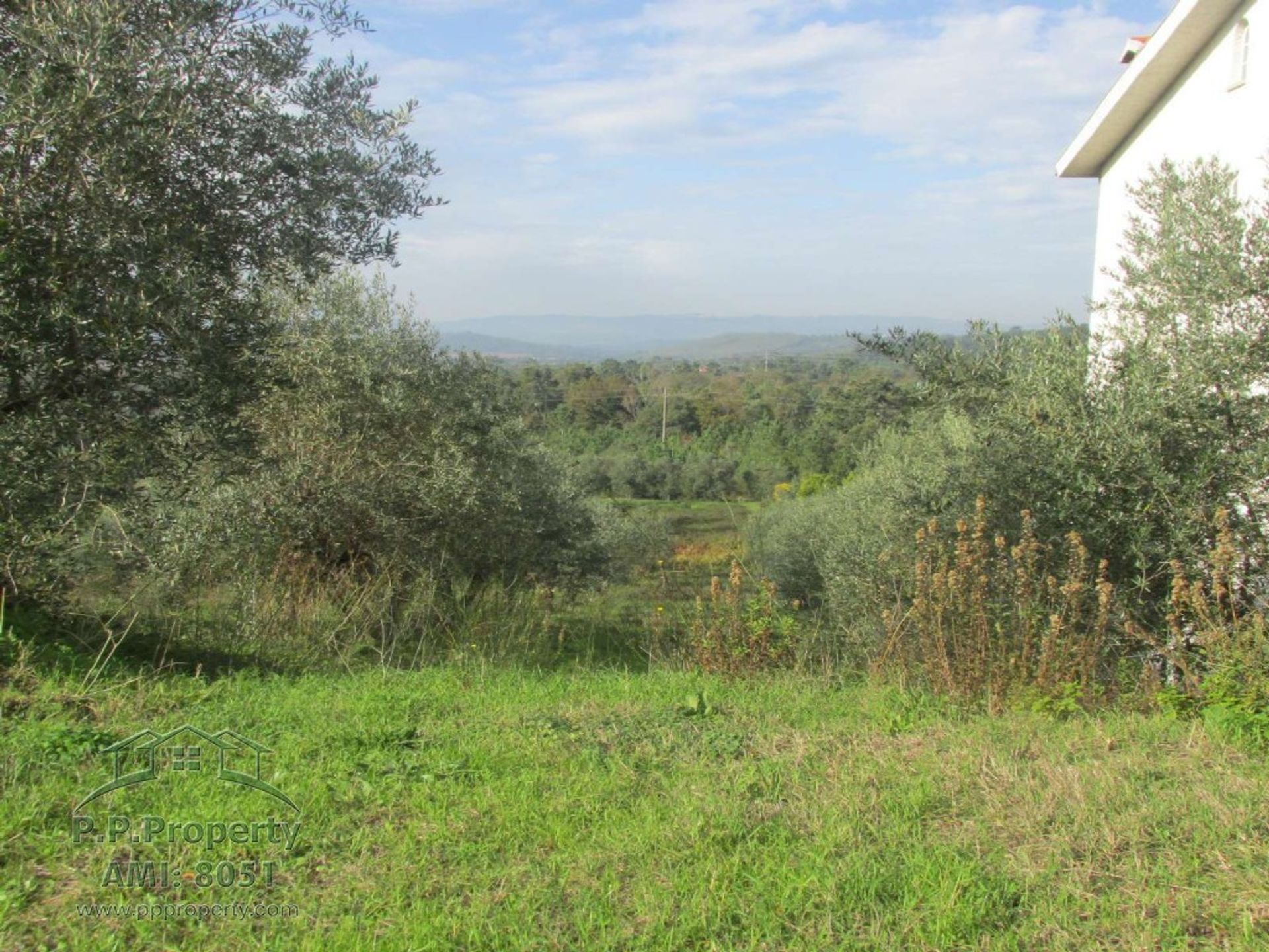 Land in Flor da Rosa, Coimbra 10029071