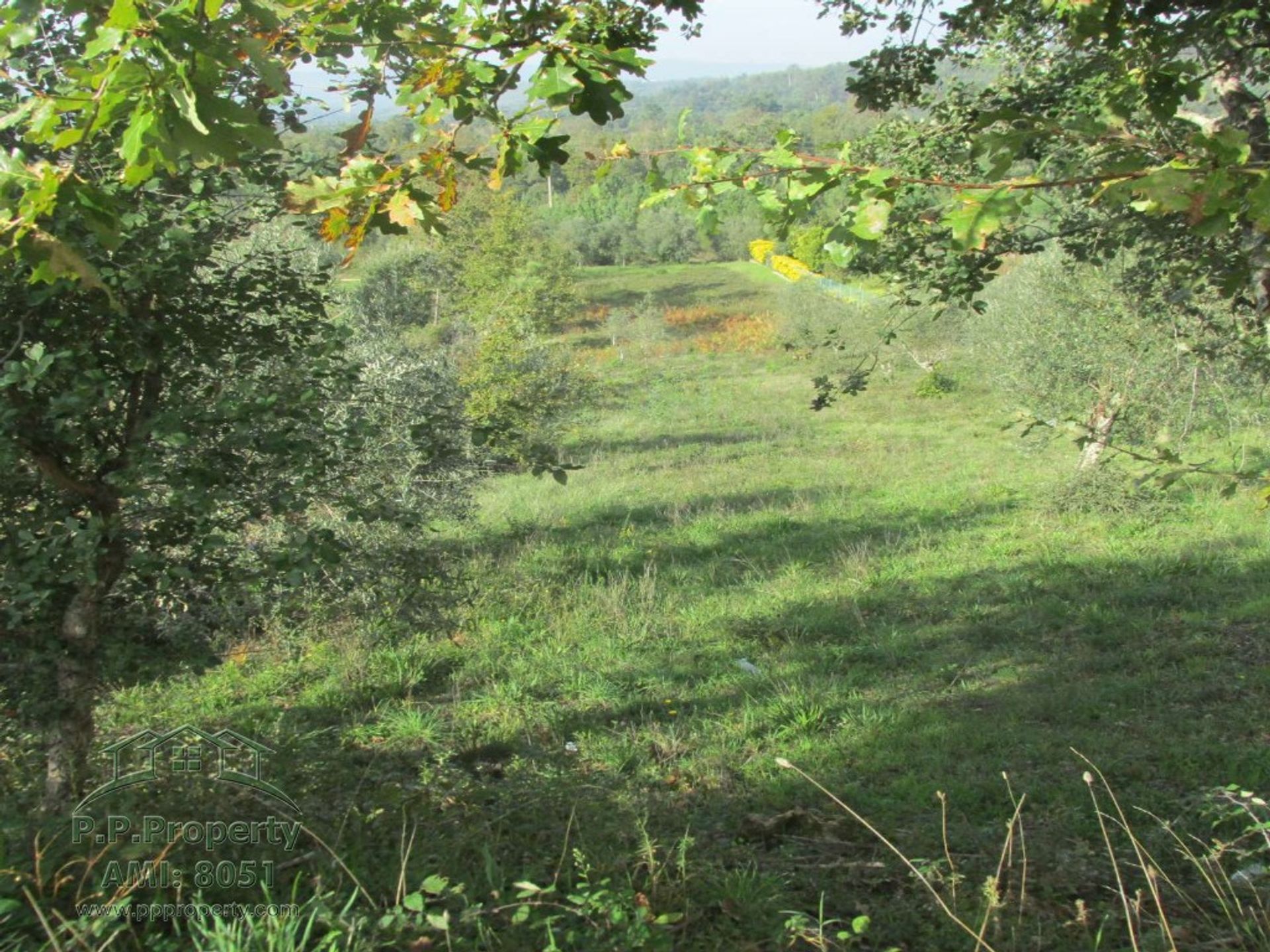 Tanah di Flor da Rosa, Coimbra 10029071