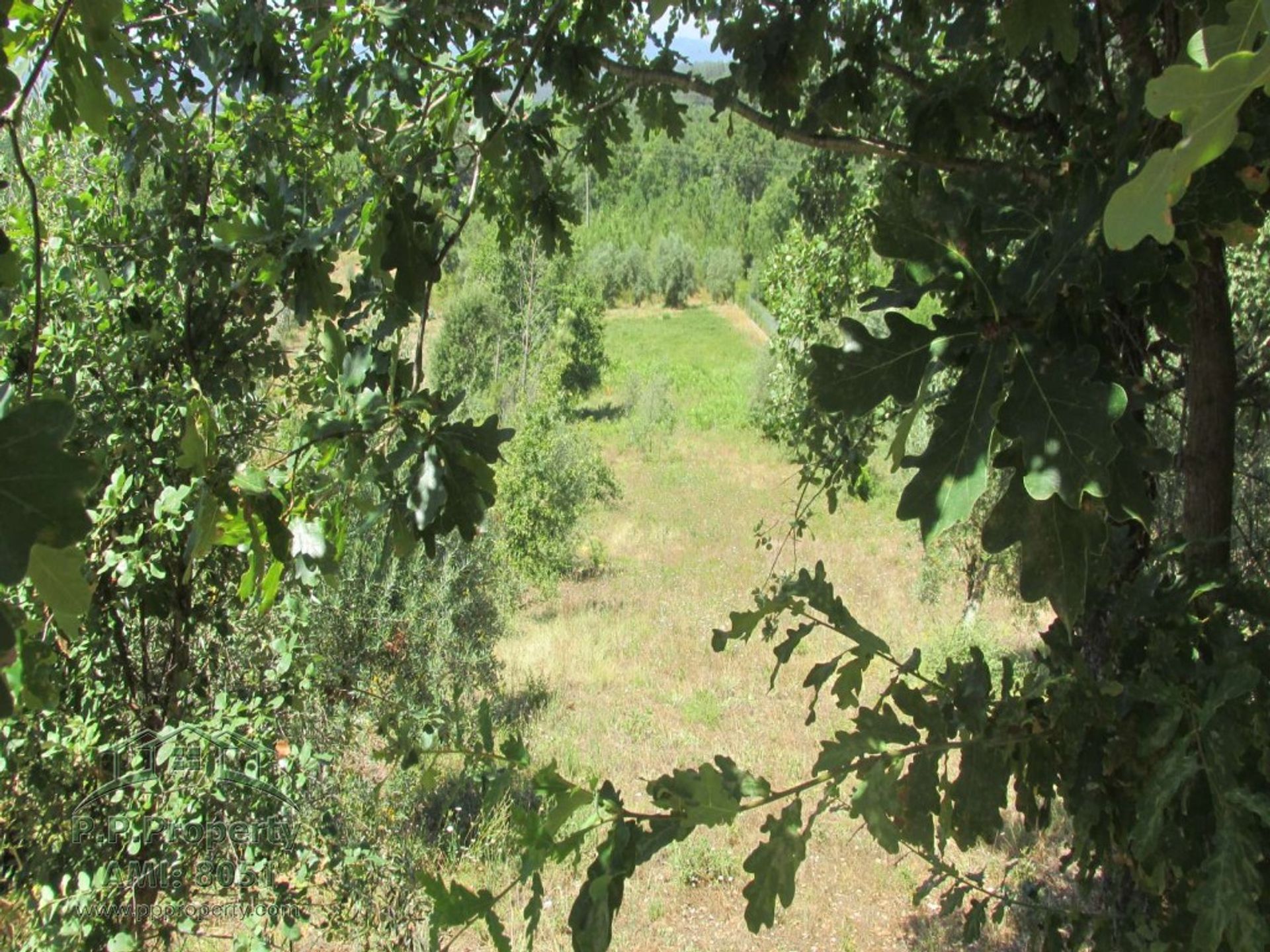 Tanah di Flor da Rosa, Coimbra 10029071