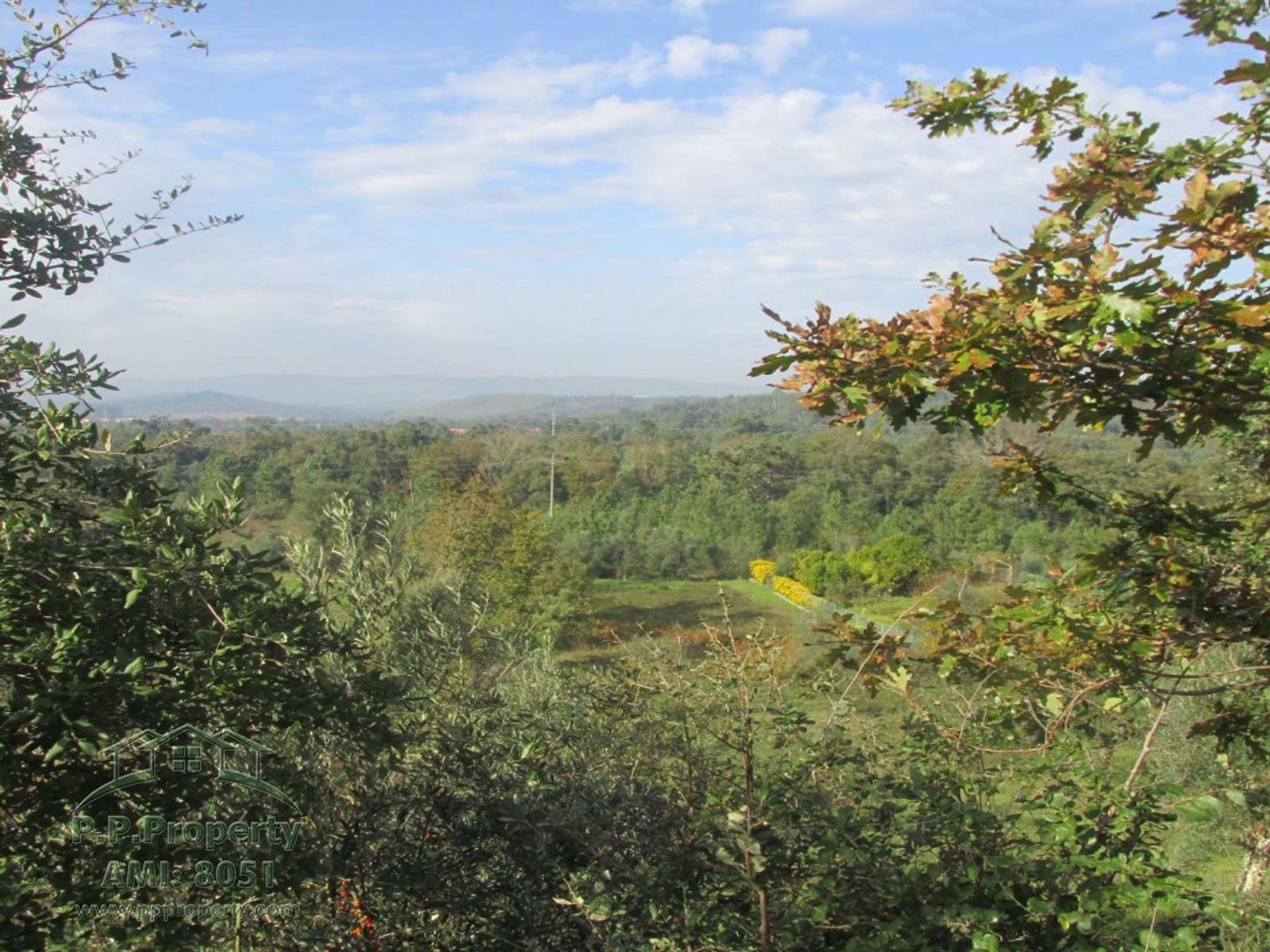 Land in Flor da Rosa, Coimbra 10029071