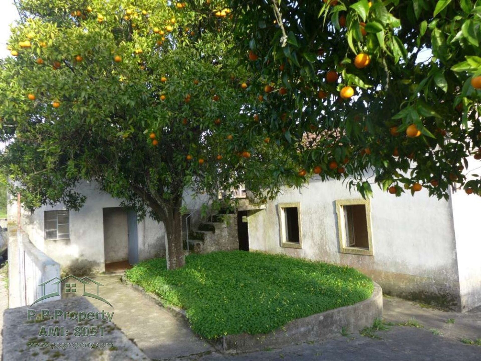 Hus i Ribeira de Sao Pedro, Leiria 10029076