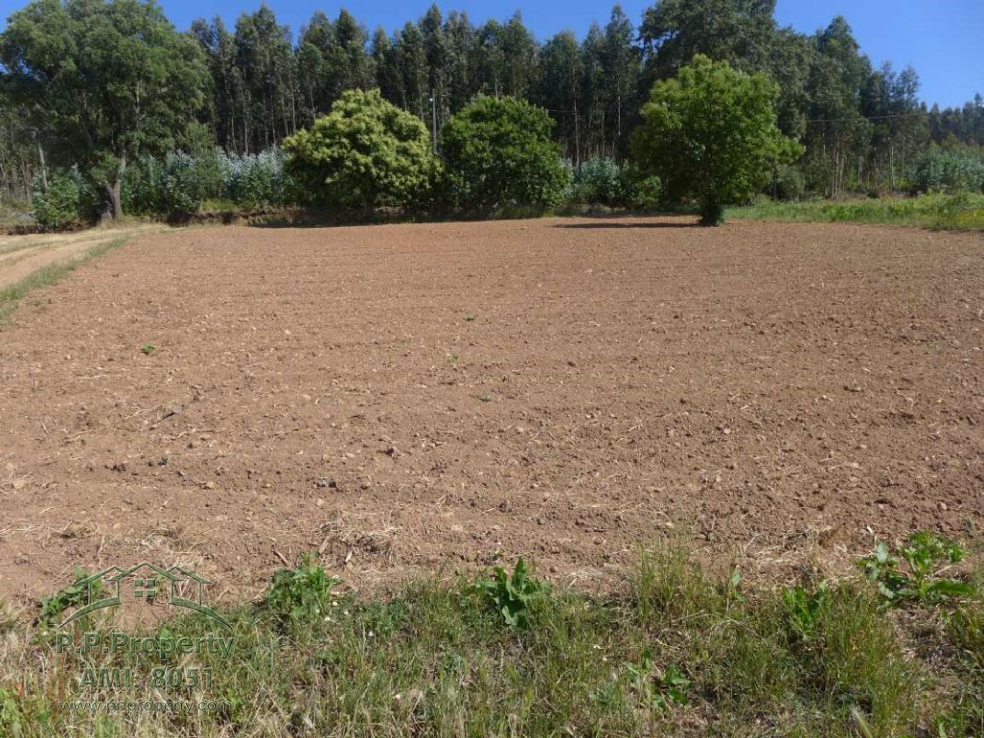 casa no Figueiro dos Vinhos, Leiria 10029079