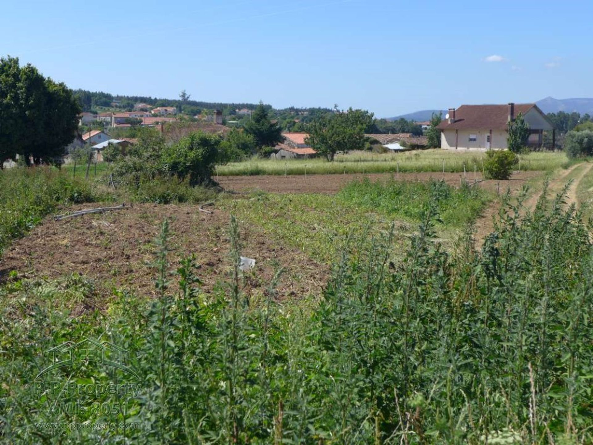 casa no Figueiro dos Vinhos, Leiria 10029079