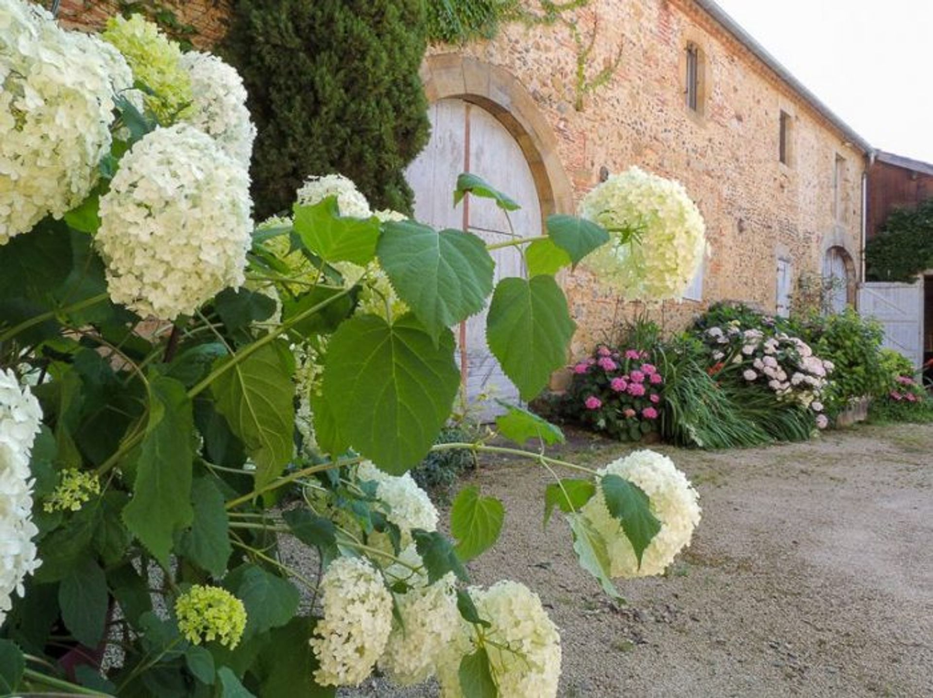 Borettslag i Marciac, Midi-Pyrenees 10029081