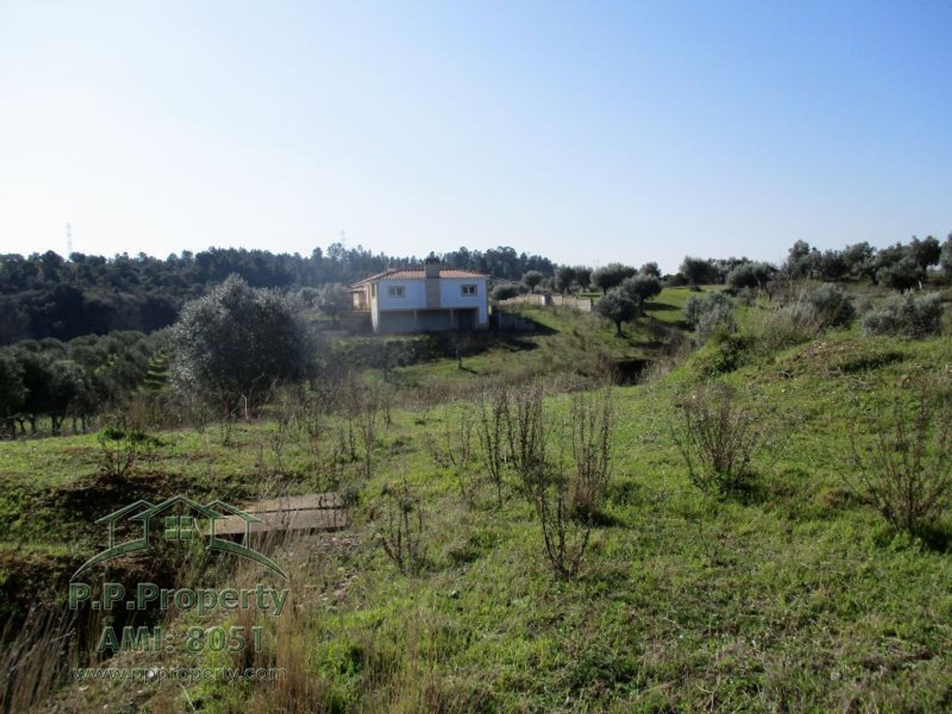 House in Torres Novas, Santarem 10029099